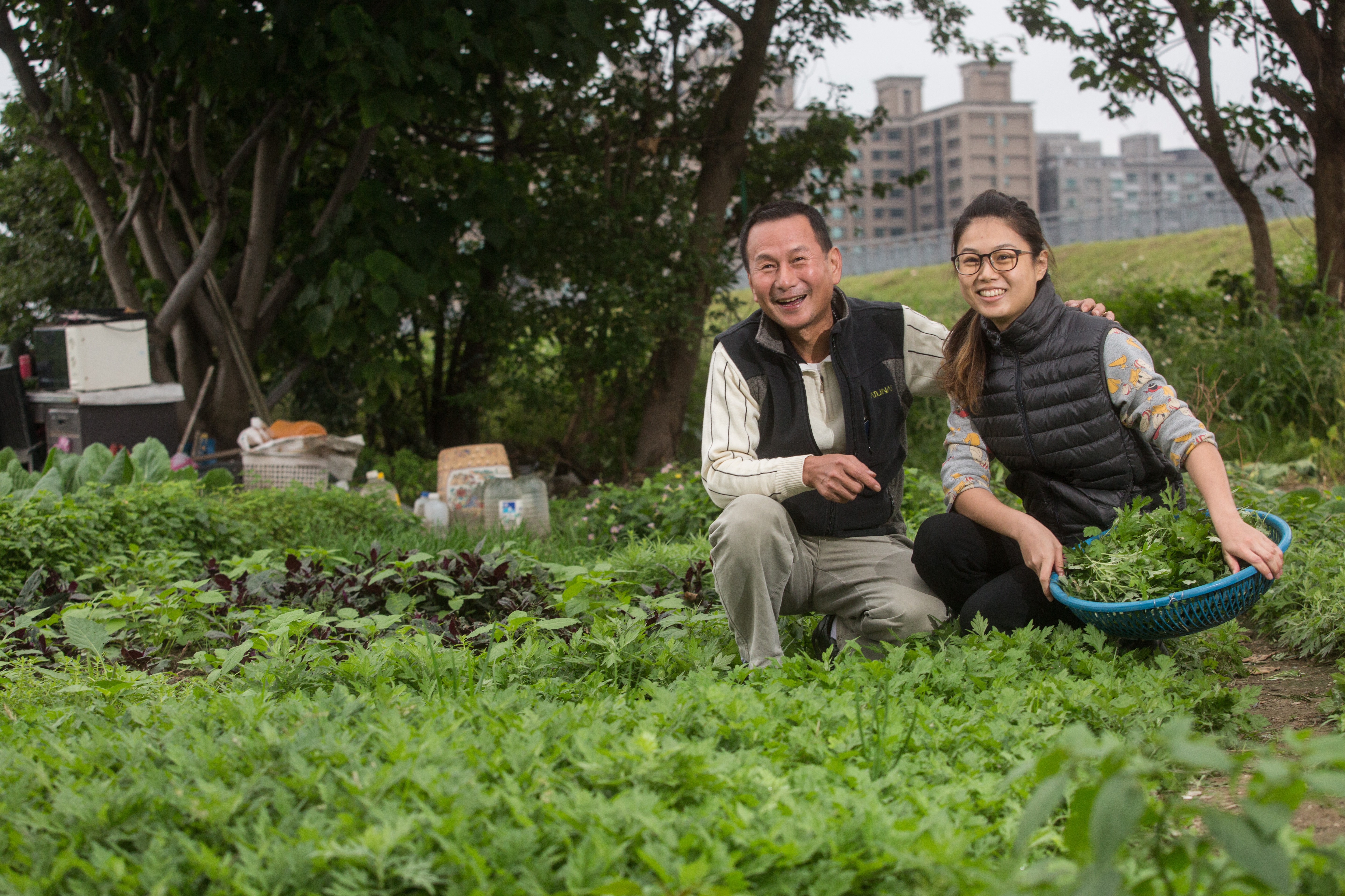 採訪這天，楊松桂（左）帶我們到三重河堤編採收艾草，聊起回家幫忙的女兒楊珺涵，他一臉驕傲。