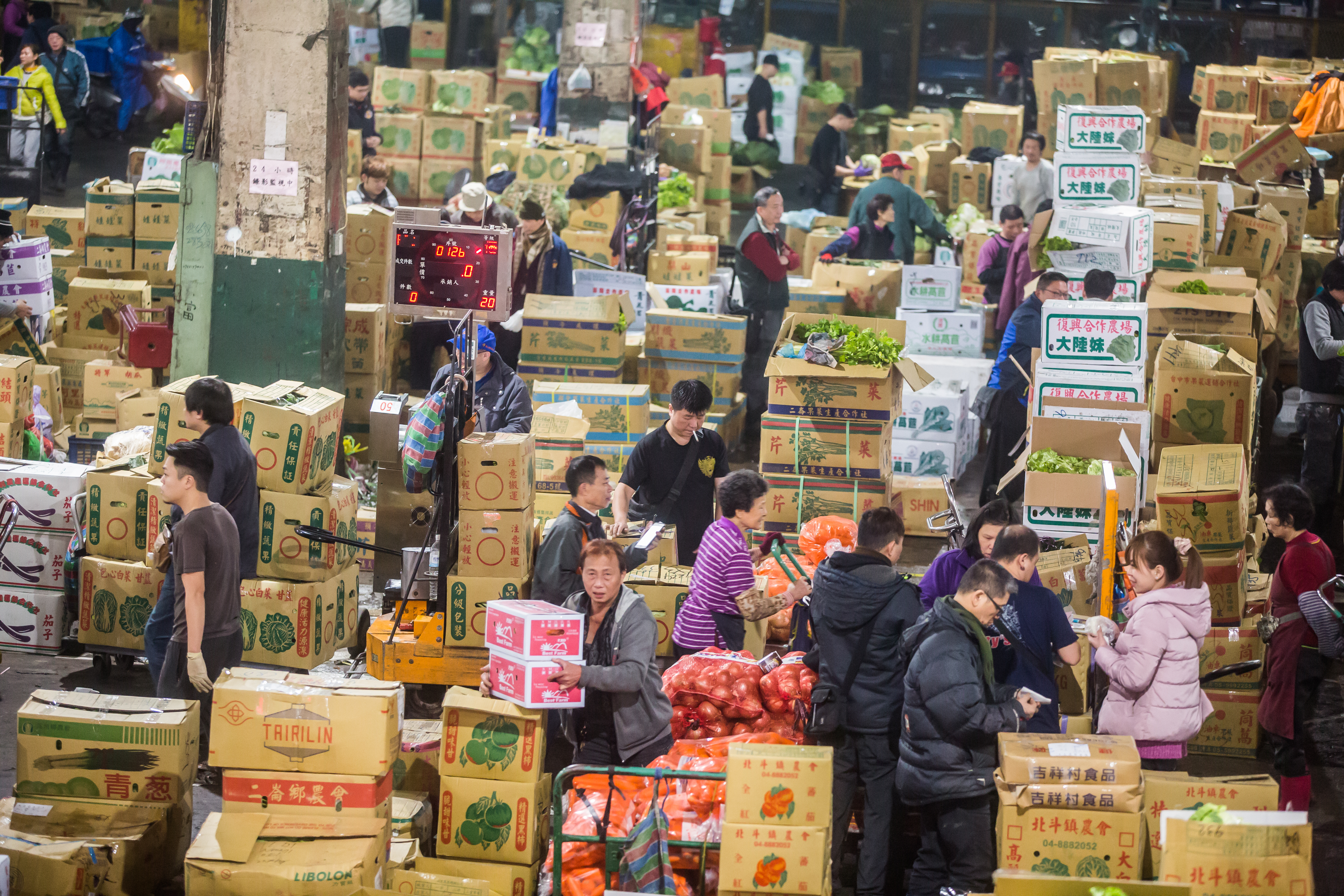今年台北農產運銷公司因春節連續休假,造成菜價暴跌,明顯處置失當,應負直接責任。