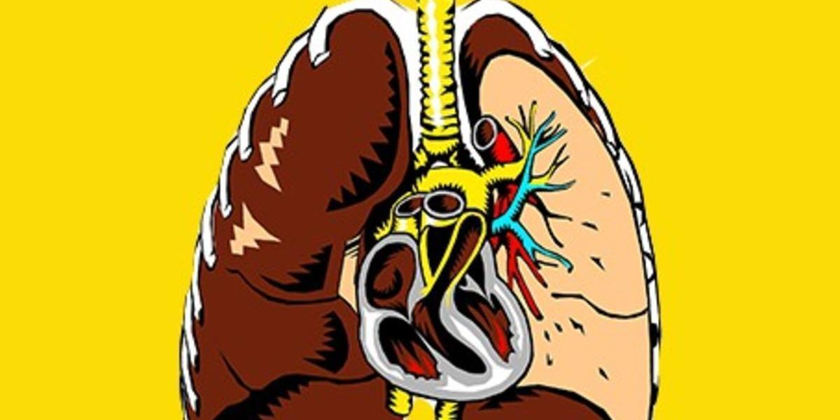 在最近的一項研究中,哈佛醫學院實驗室使用了一種名為「肺再生」的技術,將從大鼠和豬身上培養的肺轉變為可移植給人類的器官。