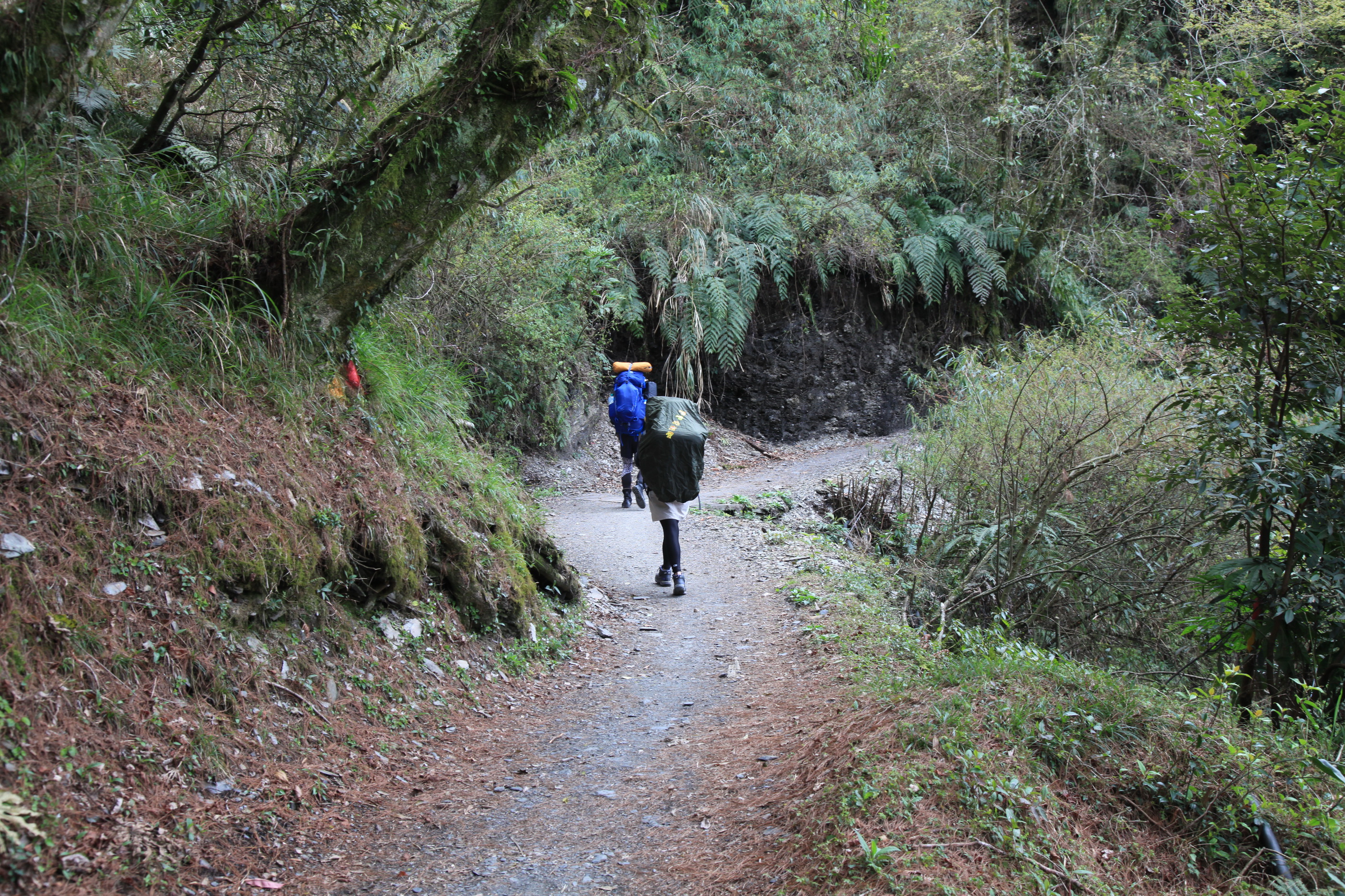 如何將背包輕量化是登山的趨勢。