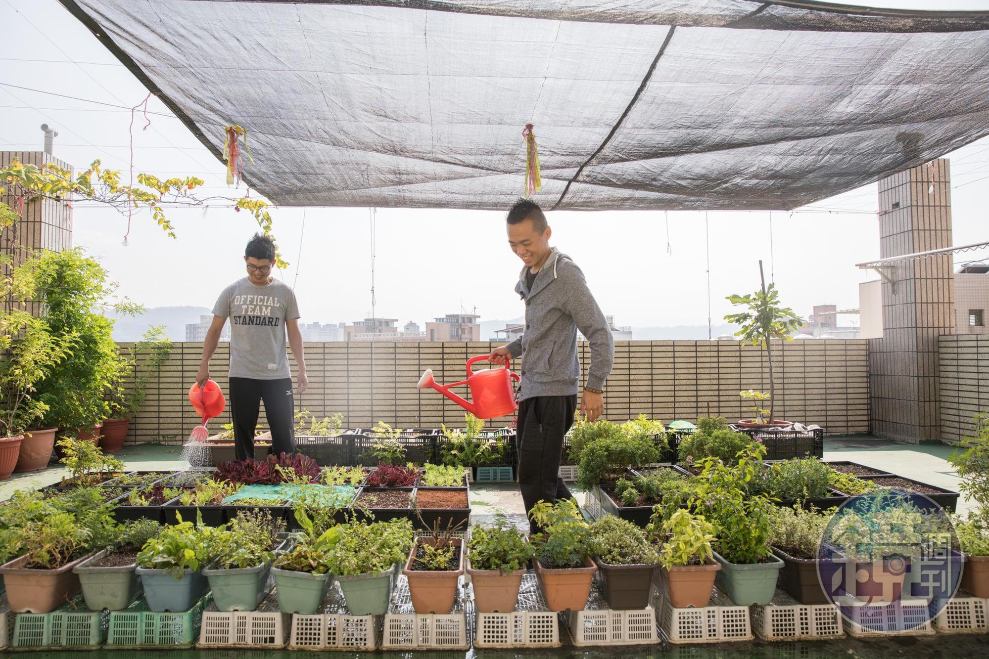 台中「英雄餐廳」的招牌沙拉全都來自主廚自種的花卉蔬菜，從種植、採收到料理，都是對用餐的人的心意。