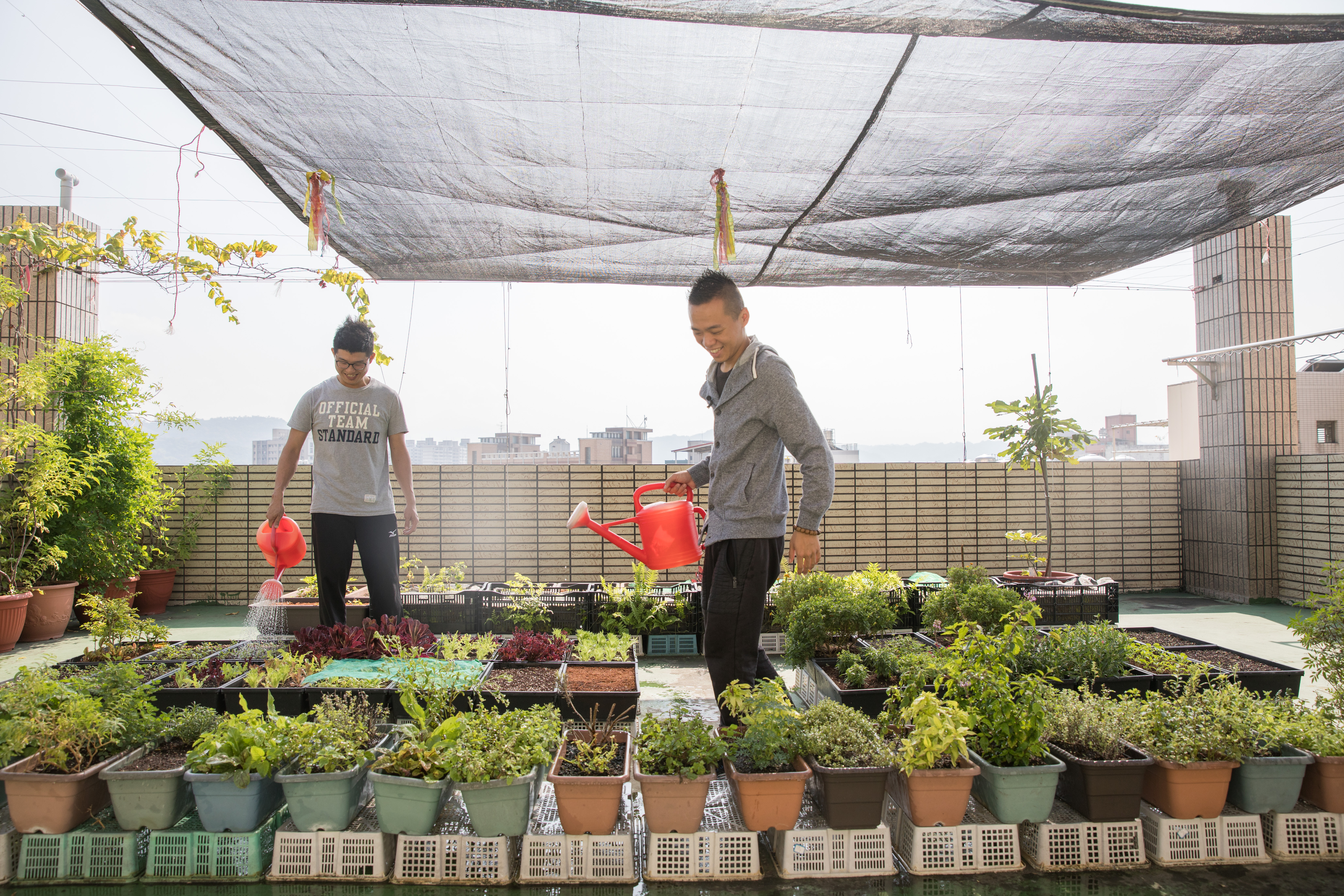 台中「英雄餐廳」的招牌沙拉全都來自主廚自種的花卉蔬菜，從種植、採收到料理，都是對用餐的人的心意。