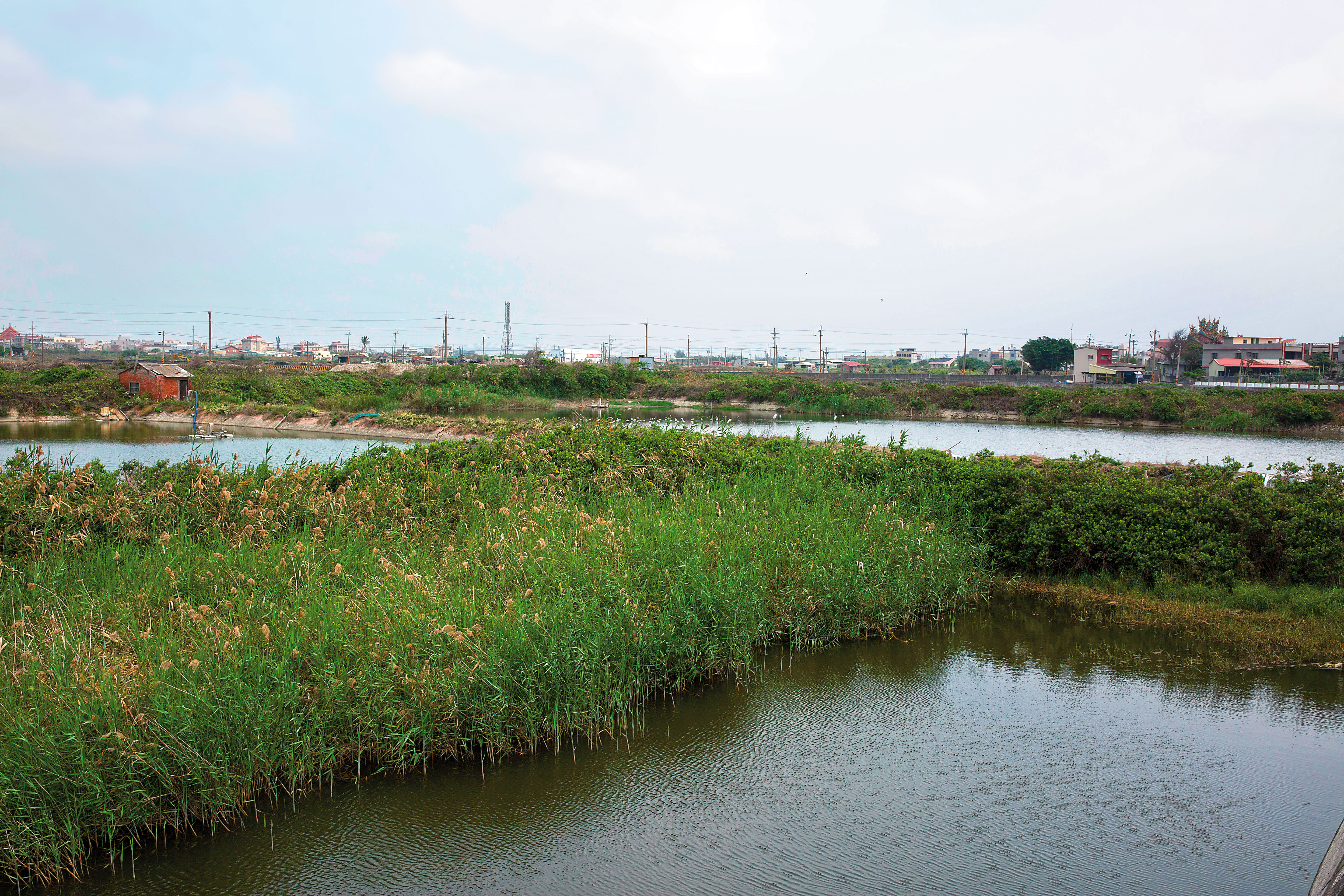 角頭大哥利用地利、人脈之便，藉著魚塭竊電挖礦。