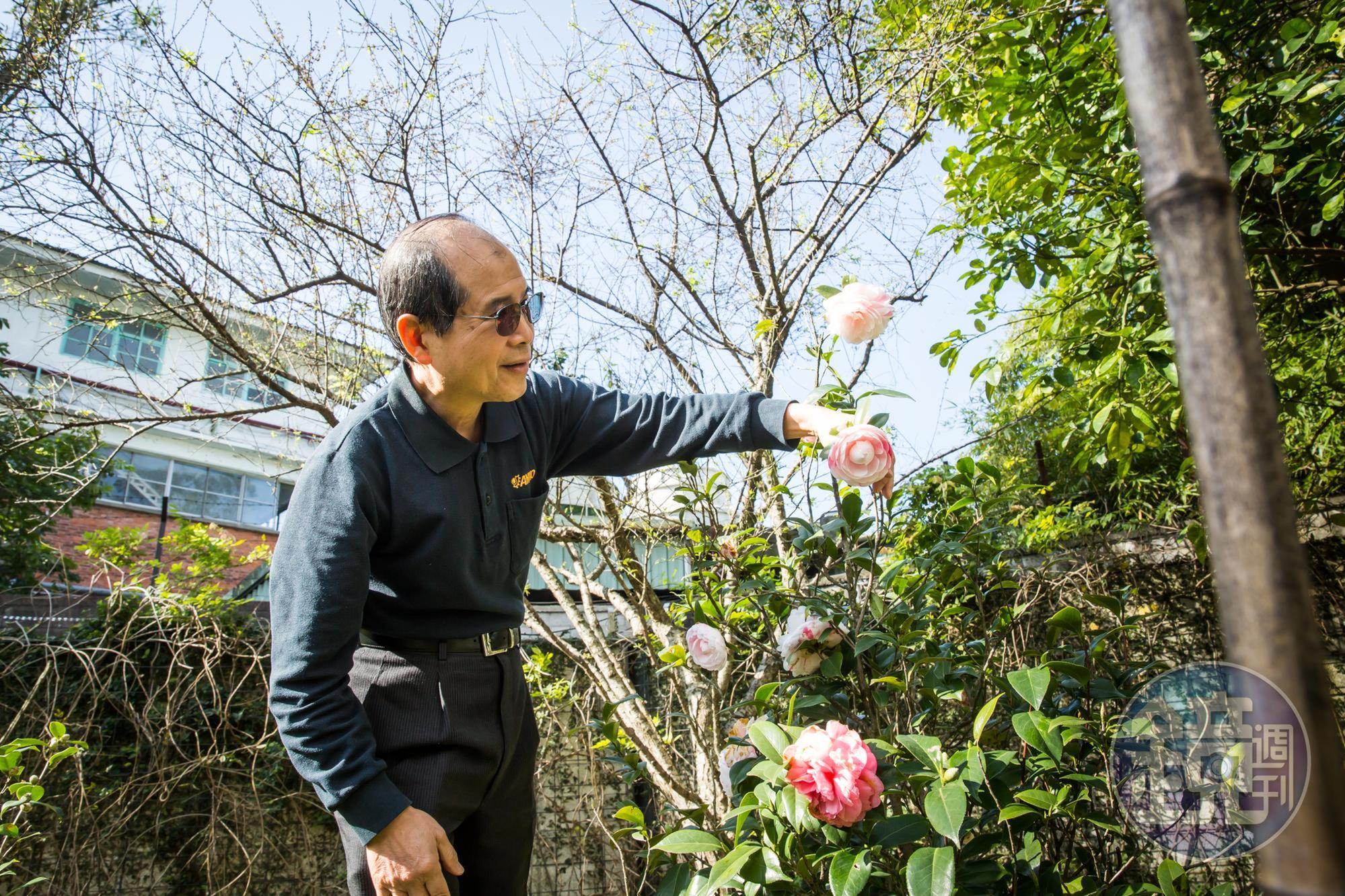 要讓花朵開好開滿,歐陽禹說,得懂得取捨。