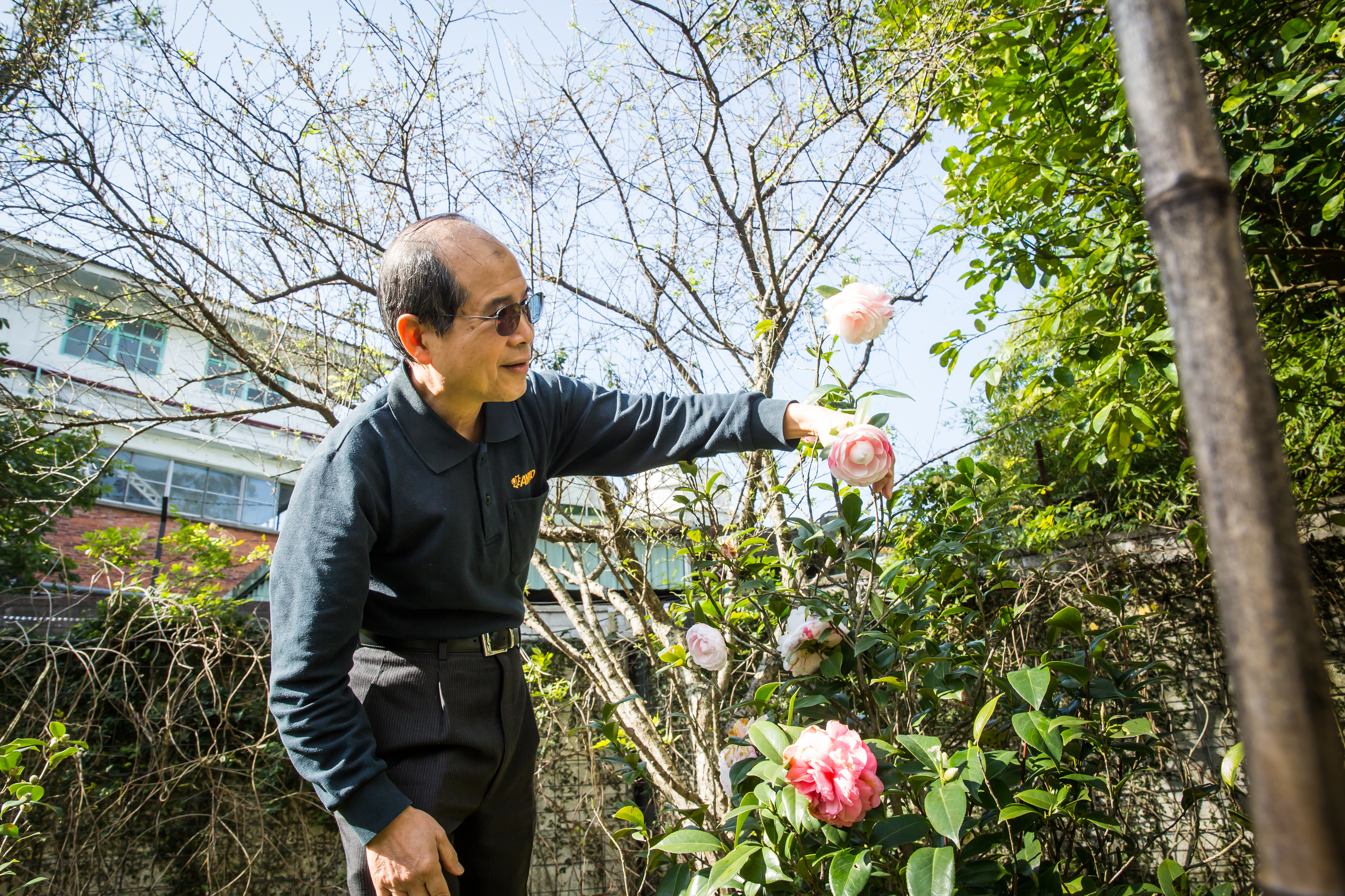 要讓花朵開好開滿，歐陽禹說，得懂得取捨。