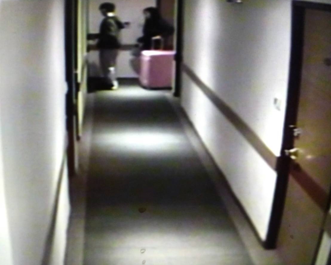 潘女與陳男來台入住旅店，陳男卻將潘女殺害棄屍。（翻攝畫面）
