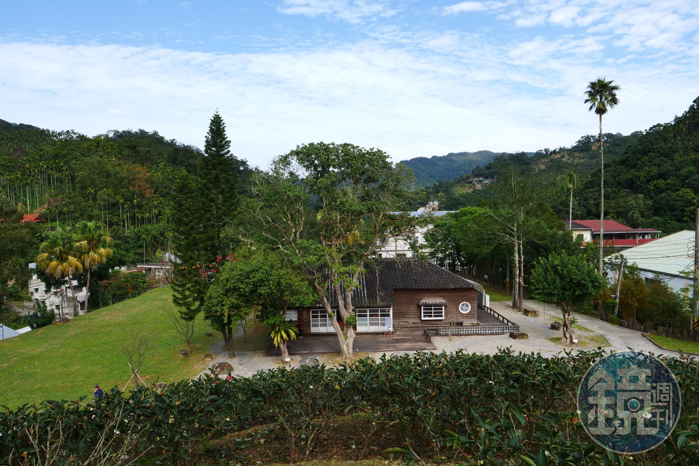 從後方茶園可以俯瞰整棟「大寮茶文館」建築與屋前的百年荔枝樹。