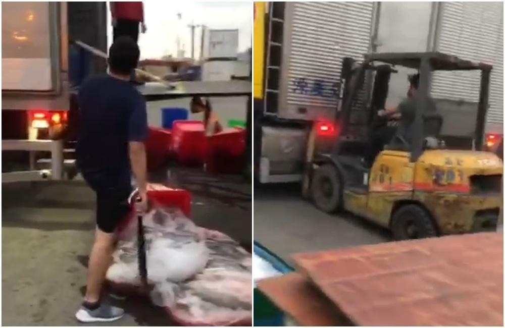 疑似白帶魚利益糾紛,一群人拿著球棒進入高金碼頭砸車恐嚇,還開著堆高機試圖要將大貨車推翻。(警方提供)
