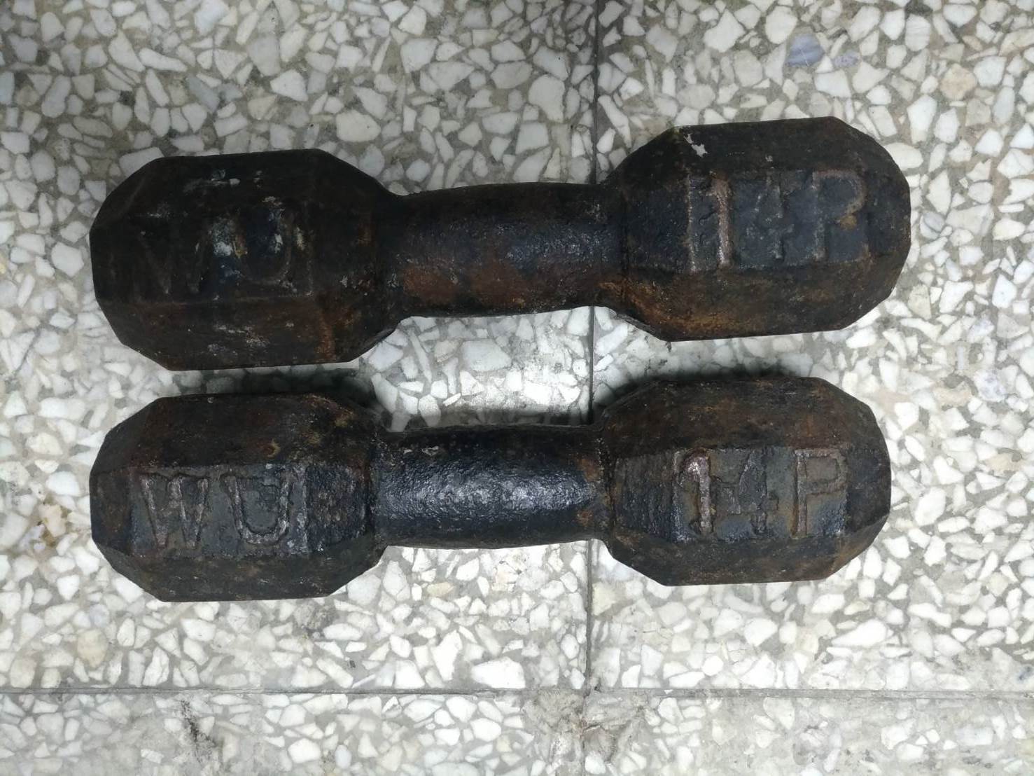 張嫌持啞鈴將小姑敲昏，還把她拖到廁所溺斃。