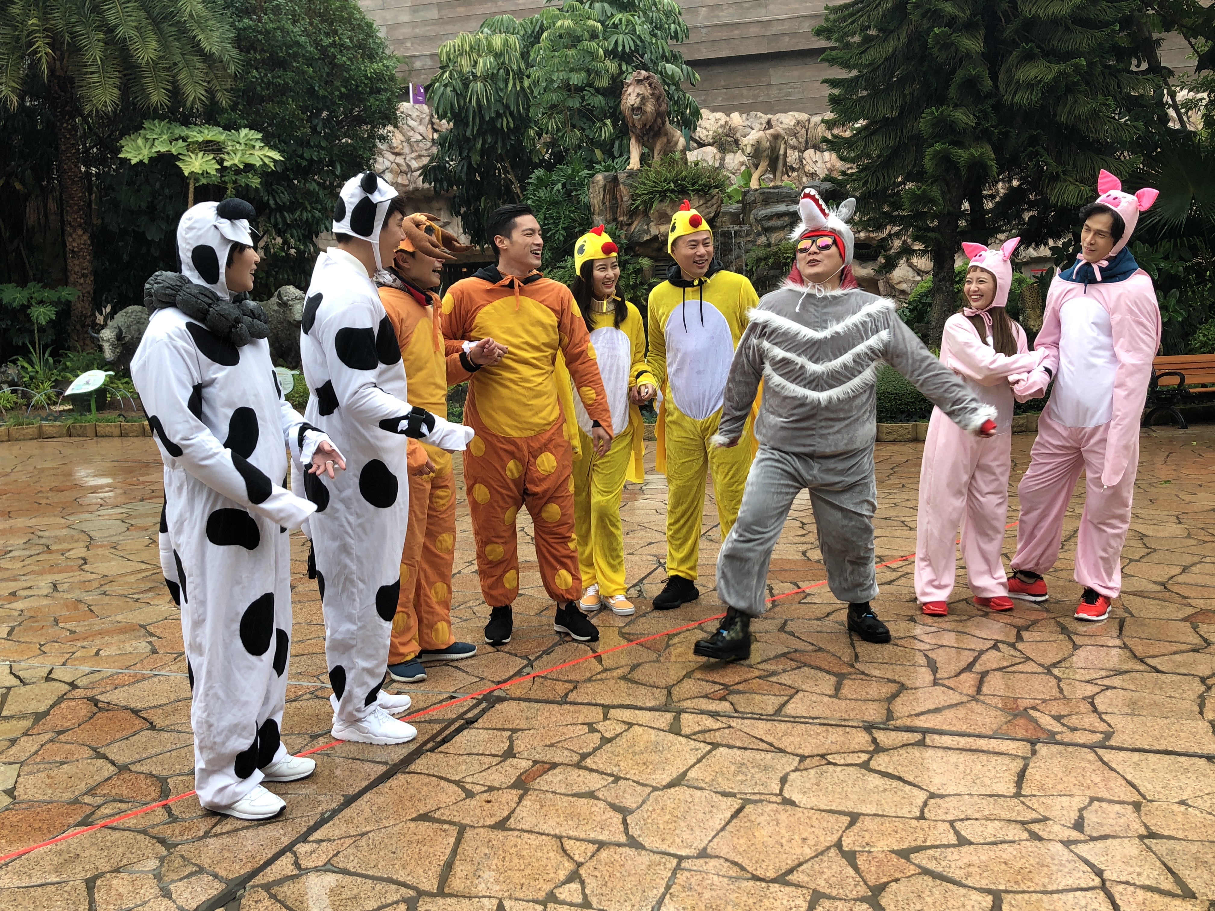 當年的同門師兄弟姊妹一起前進香港搞笑，穿著動物裝完全不計形象。（中視提供）