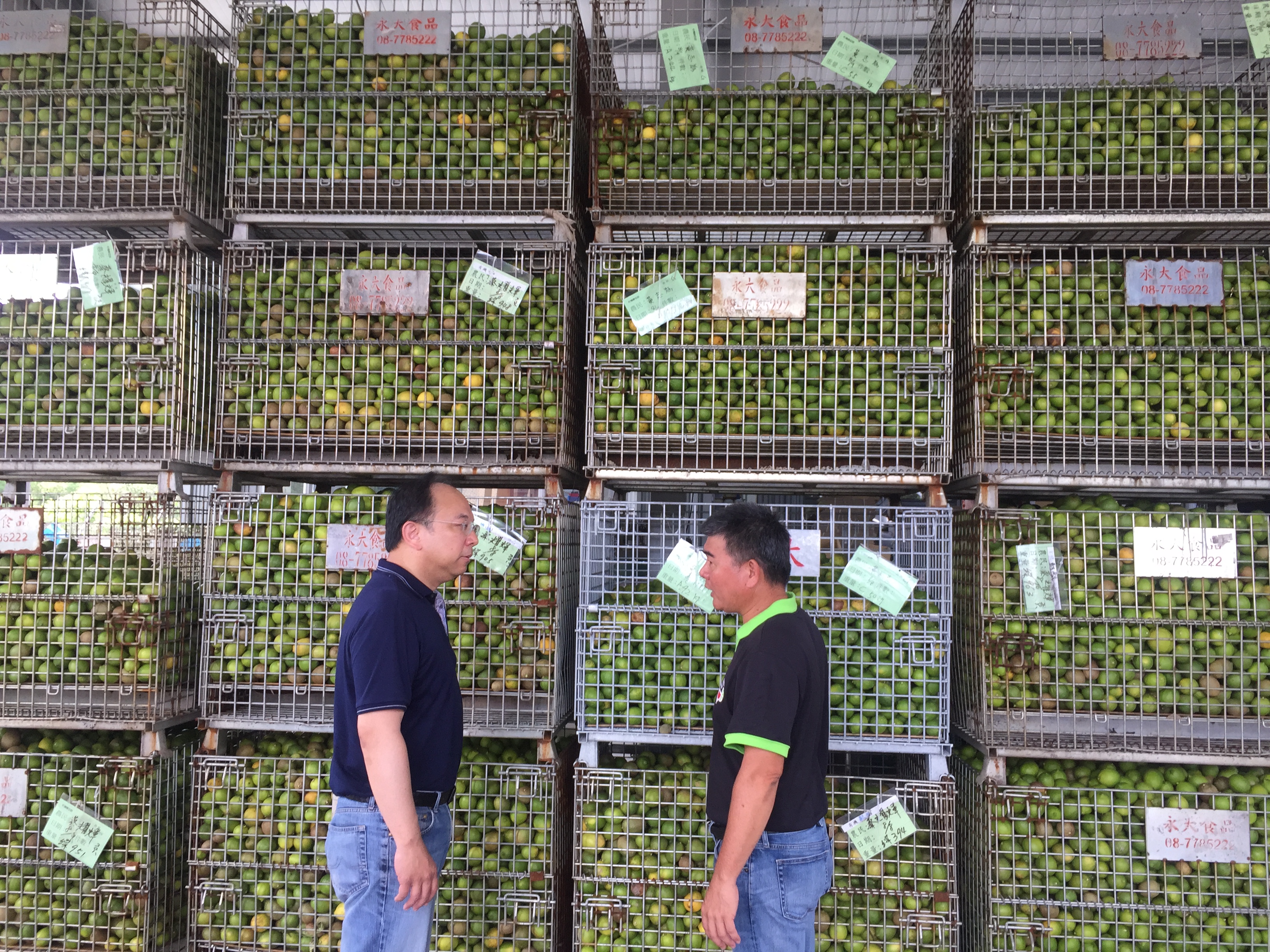 屏東檸檬在契作合作下，今年預估需求量高達5,500噸。