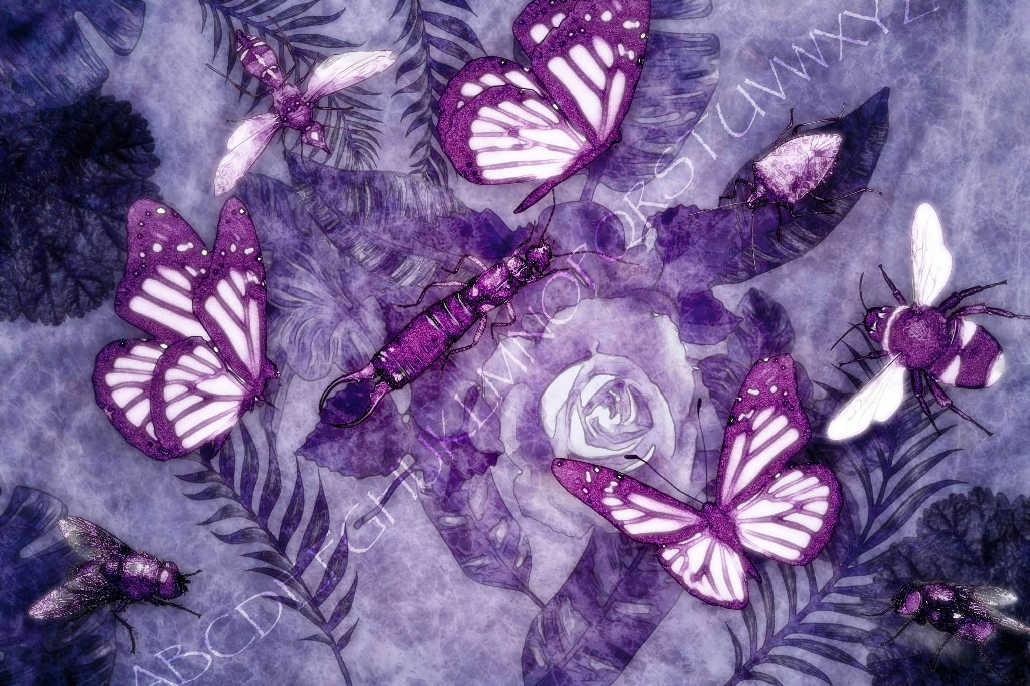 【黃宗潔書評】一個人的「字母會」──《昆蟲誌：人類學家觀看蟲蟲的26種方式》