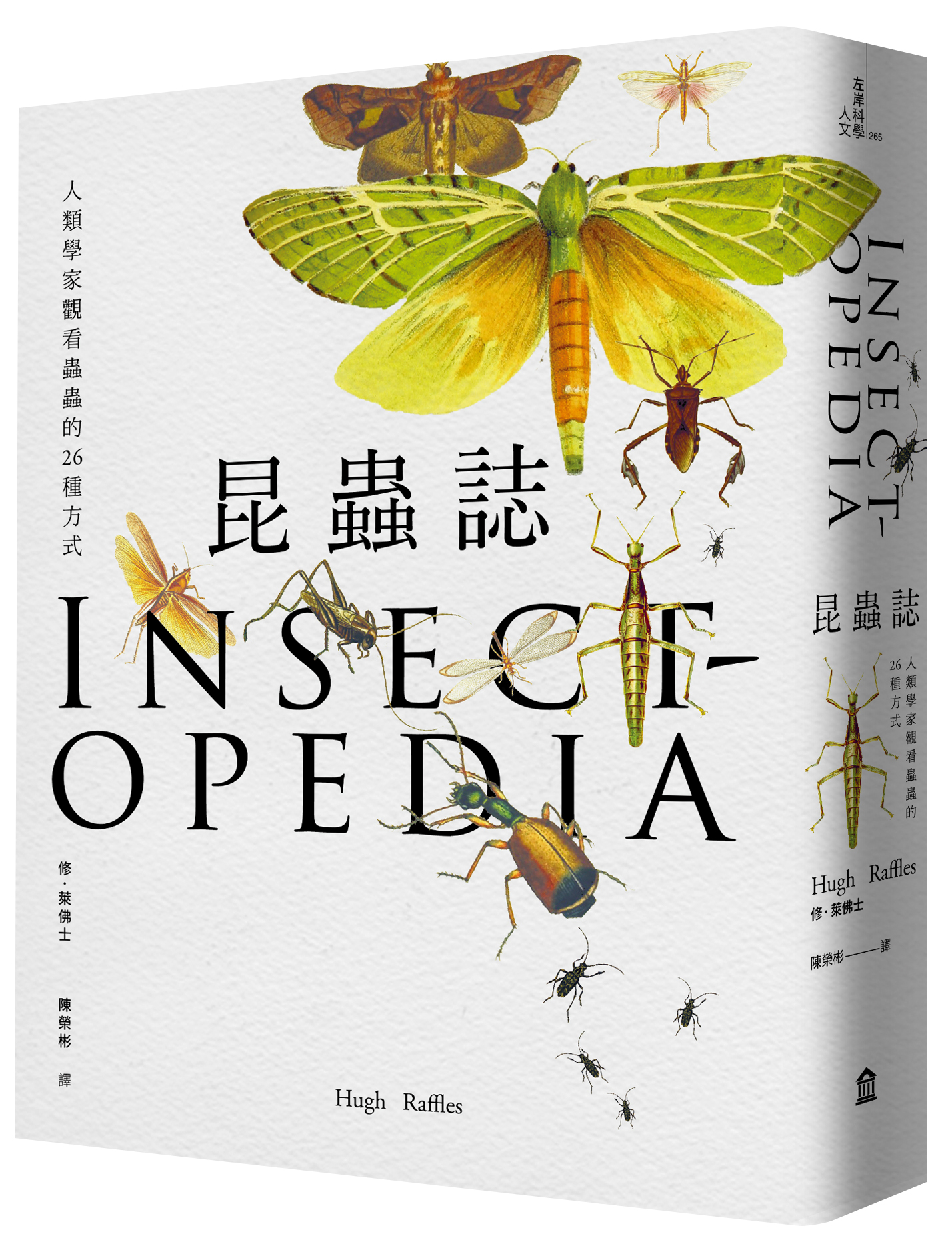《昆蟲誌：人類學家觀看蟲蟲的26種方式》，修．萊佛士著，陳榮彬譯，左岸文化出版