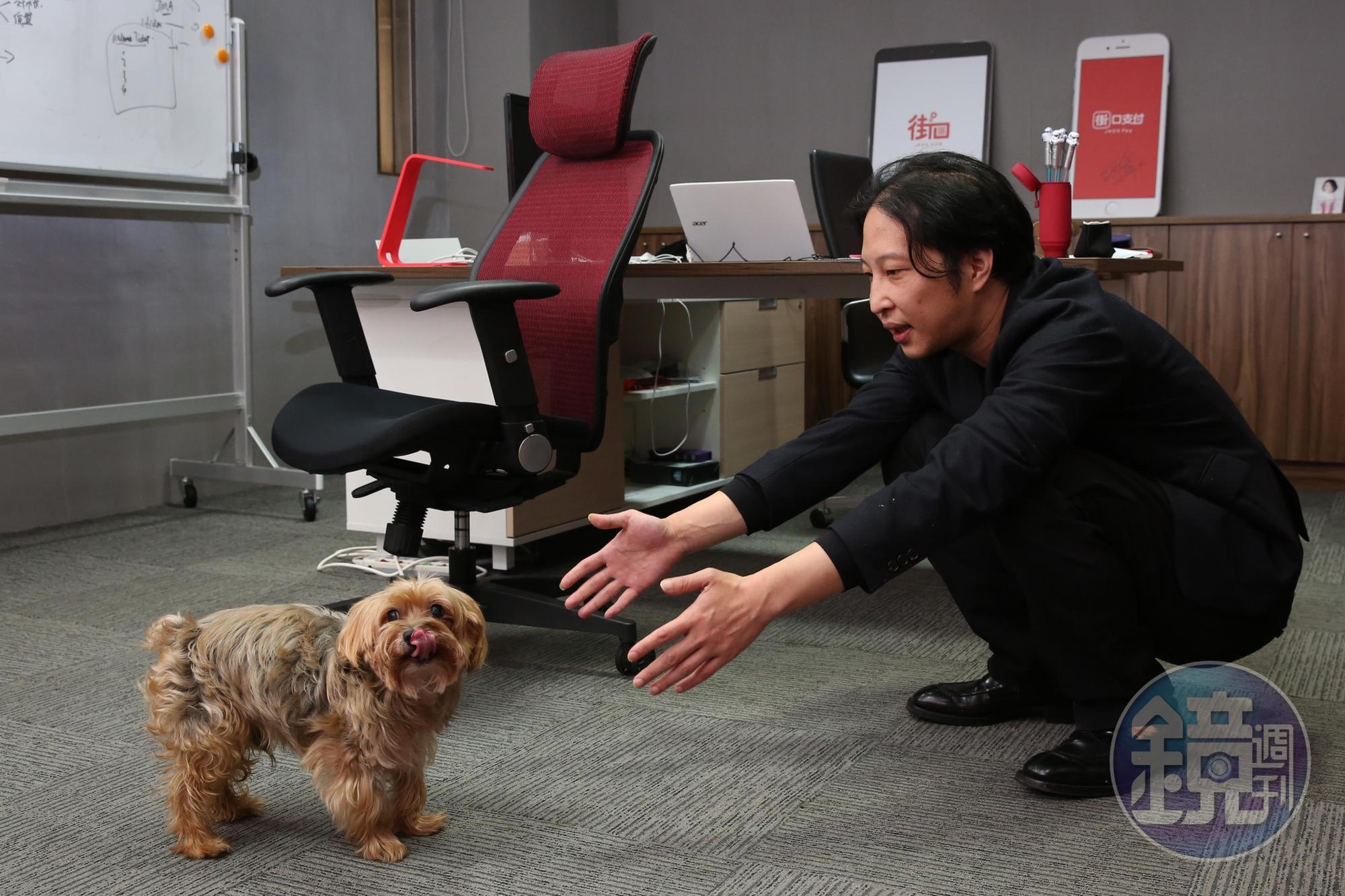 每天忙得不可開交,陪愛犬yoyo散步,成了胡亦嘉少數的休閒活動。