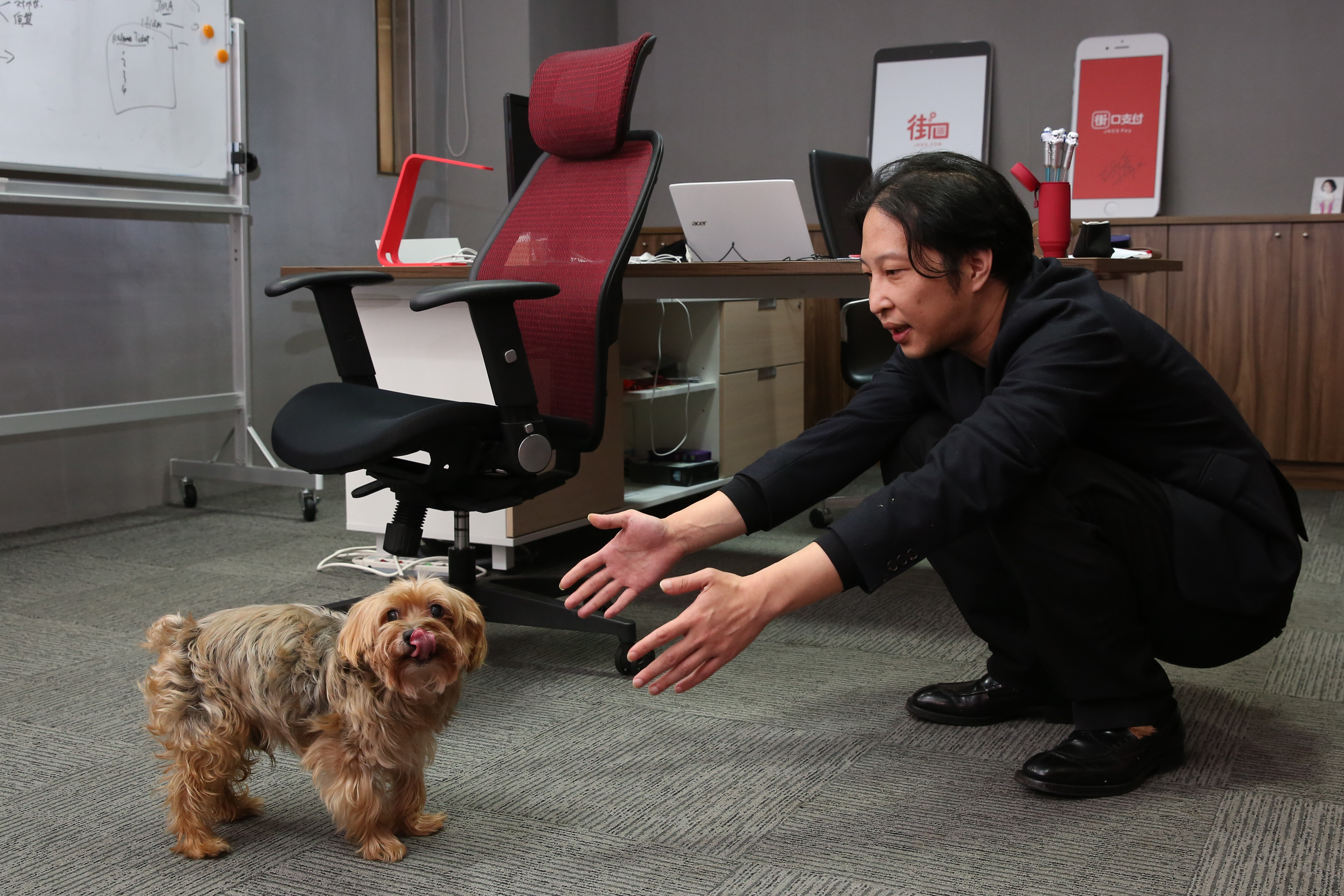 每天忙得不可開交，陪愛犬yoyo散步，成了胡亦嘉少數的休閒活動。