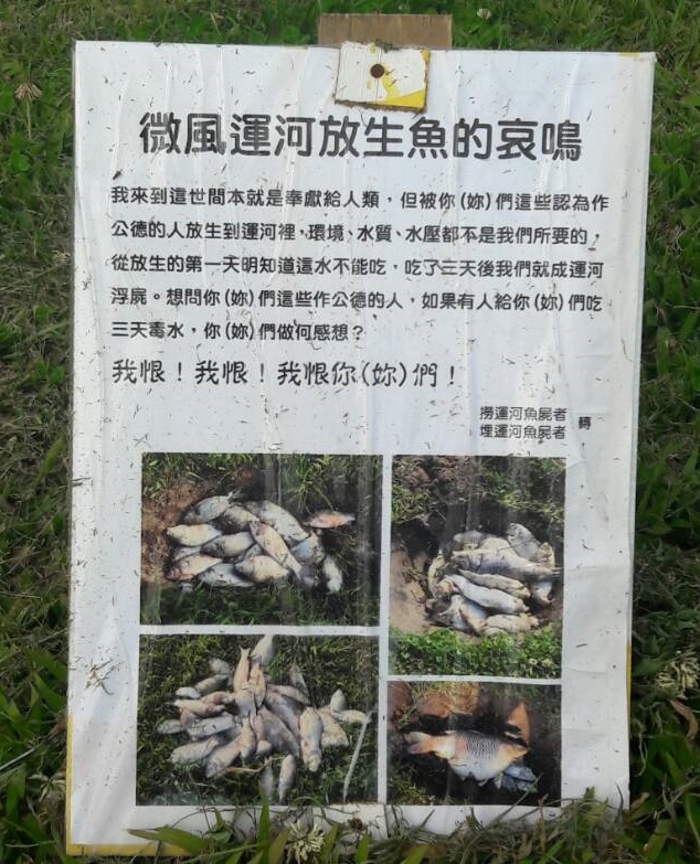 微風運河驚傳放生害死,民眾設立告示牌訴說「放生魚的哀鳴」。(民眾提供)