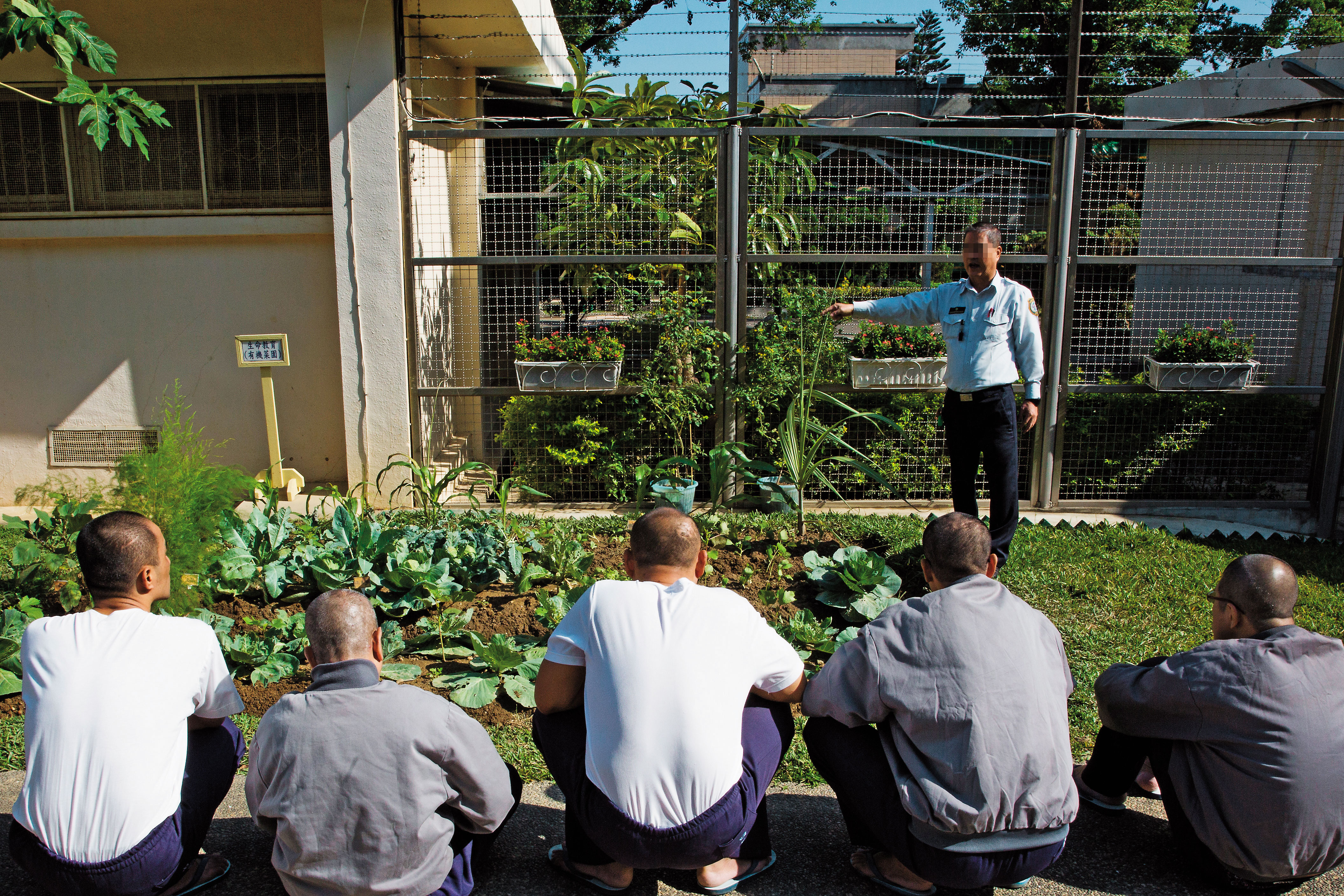 監所宛如社會縮影,受刑人臥虎藏龍,具備長才者比比皆是。