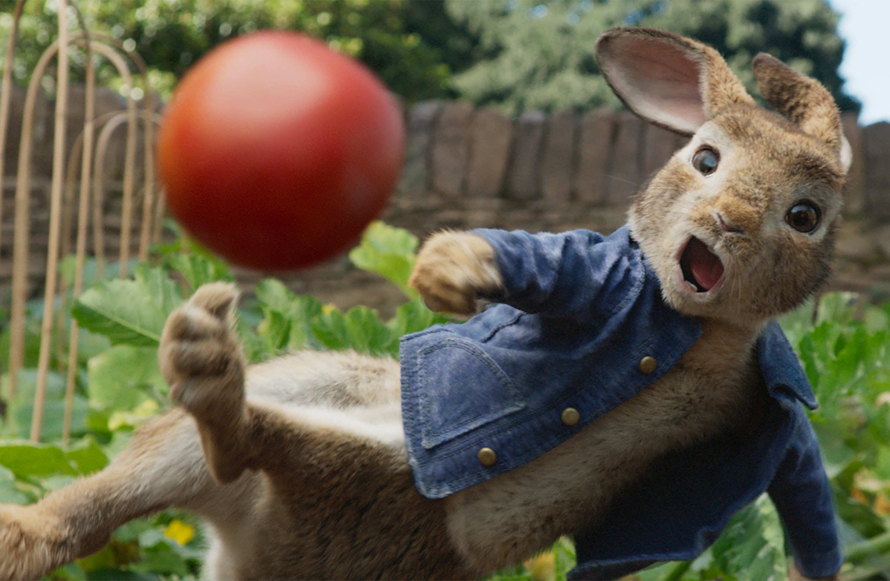 真人動畫電影《比得兔》劇情描述兔子比得兄妹與鄰居麥奎格家族之間的人兔大戰，會扔番茄、設陷阱的比得雖然很中二卻超可愛。（索尼提供）