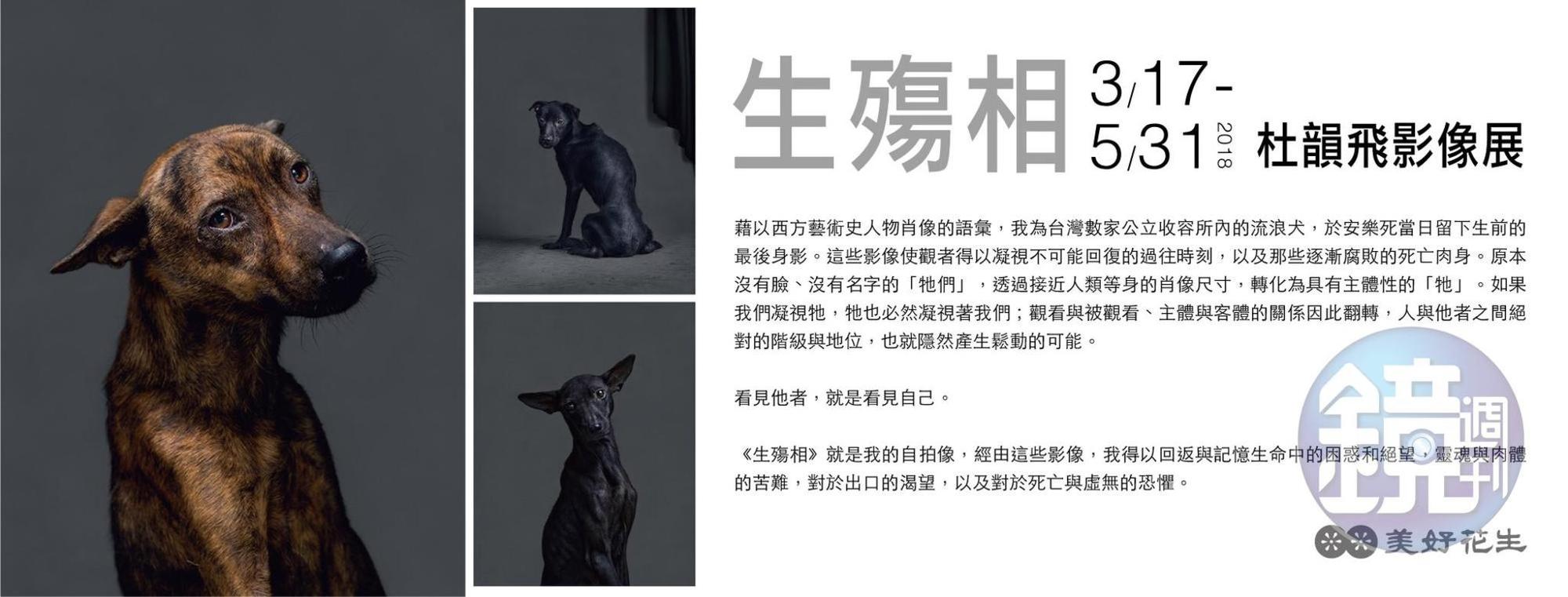 「美好花生」正在展出杜韻飛「生殤相」系列作品攝影展。