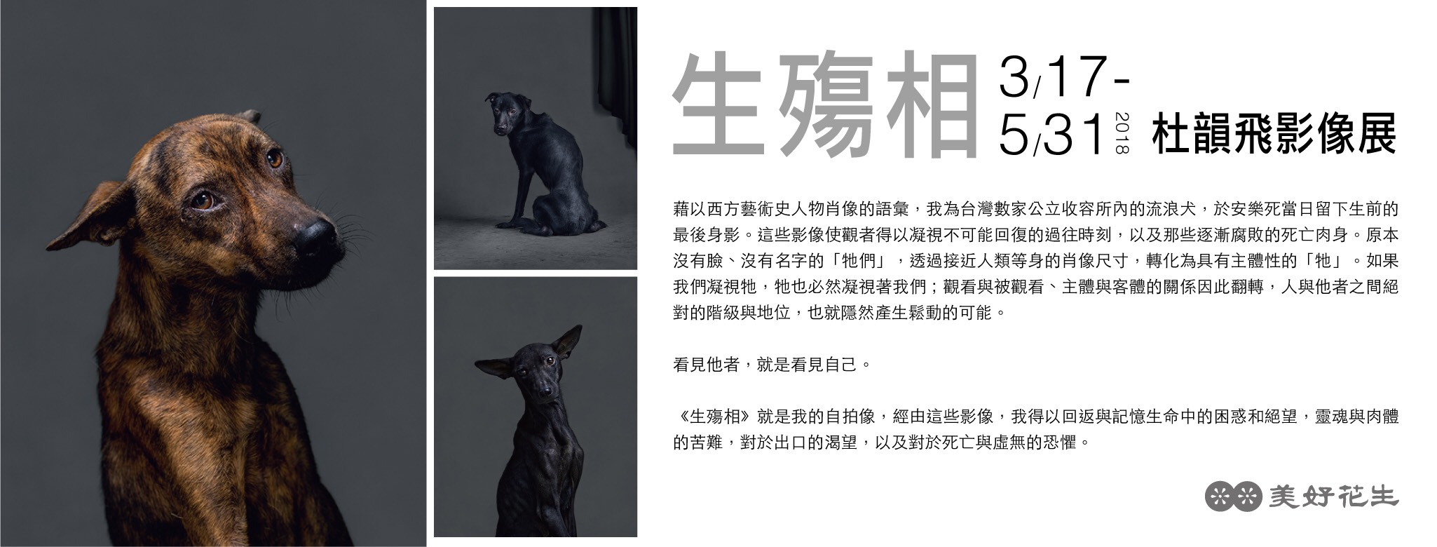「美好花生」正在展出杜韻飛「生殤相」系列作品攝影展。