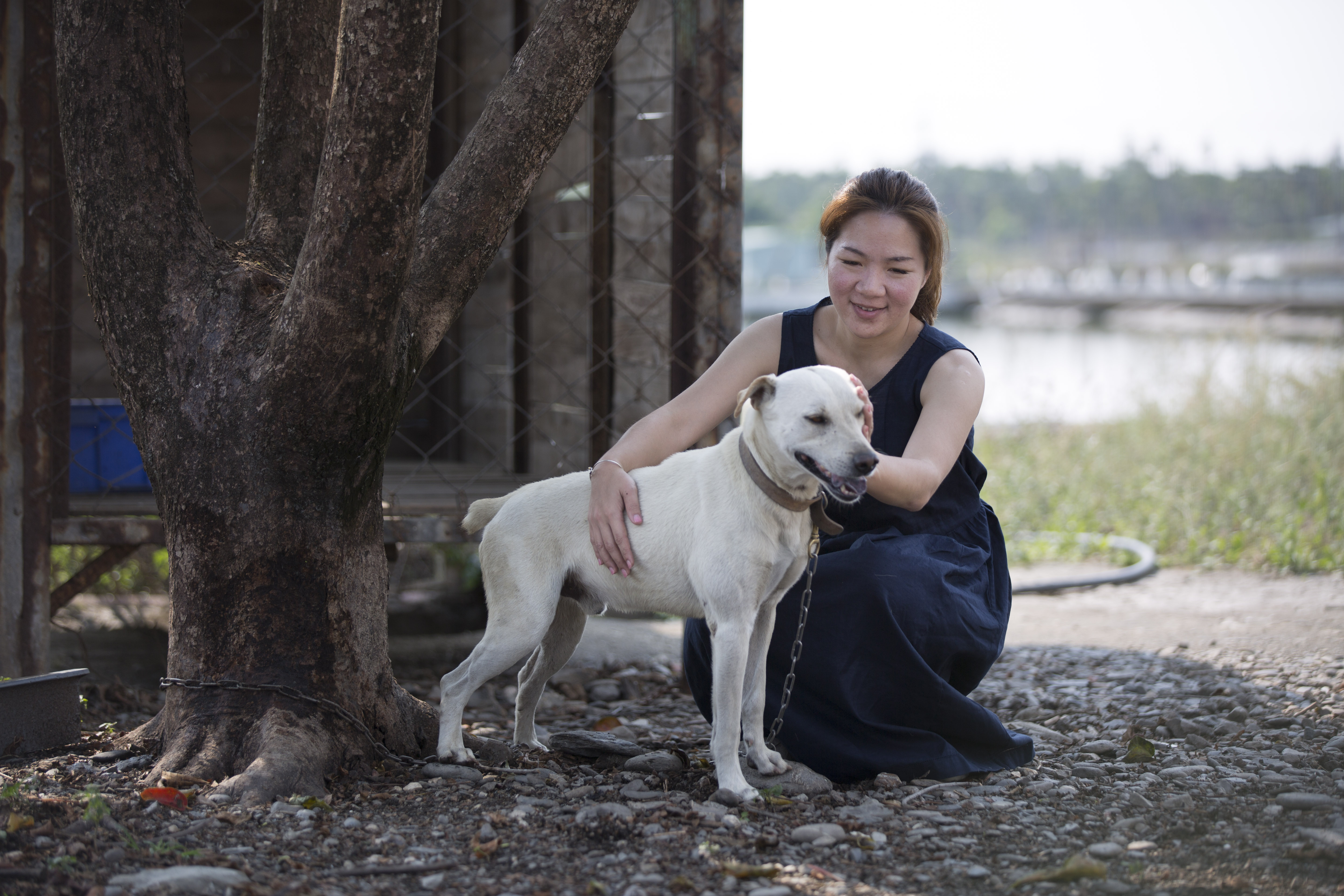 謝育諮是第二代接班的鱉農，空閒時還四處拯救流浪狗，圖中的白狗曾被香肉店用鐵線套頭獵補，在脖子上留下很深的傷口。