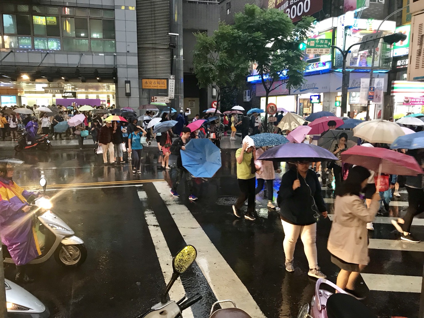 中部以北、東半部地區及澎湖、金門、馬祖午後有短暫陣雨或雷雨,恐有局部較大雨勢發生。