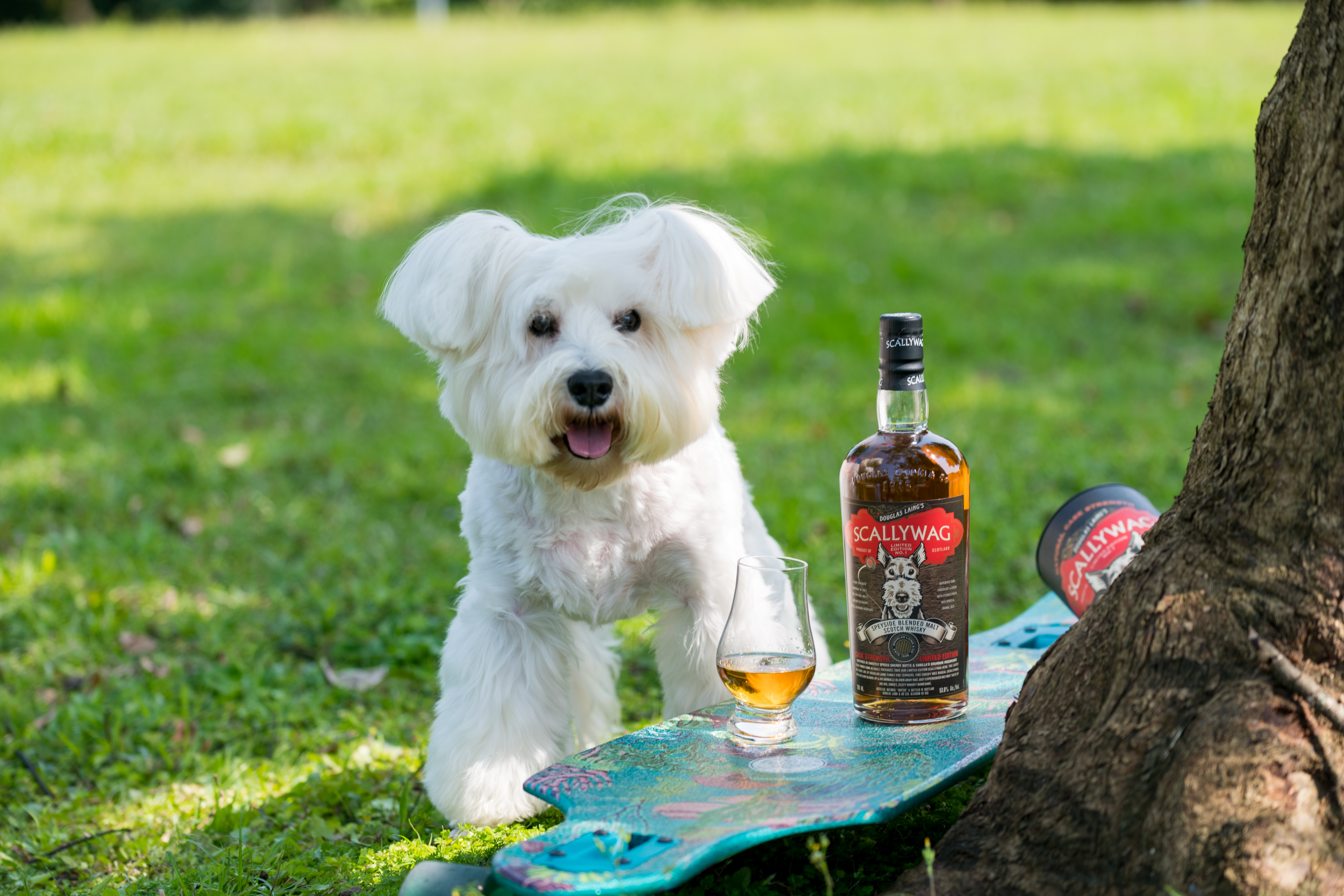 萌狗跳上酒標，搖身為威士忌的象徵符號。