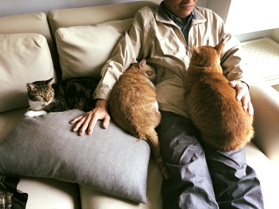 蔡總統表示，「黃阿瑪真的還蠻療癒！」（翻攝自黃阿瑪的後宮生活臉書）