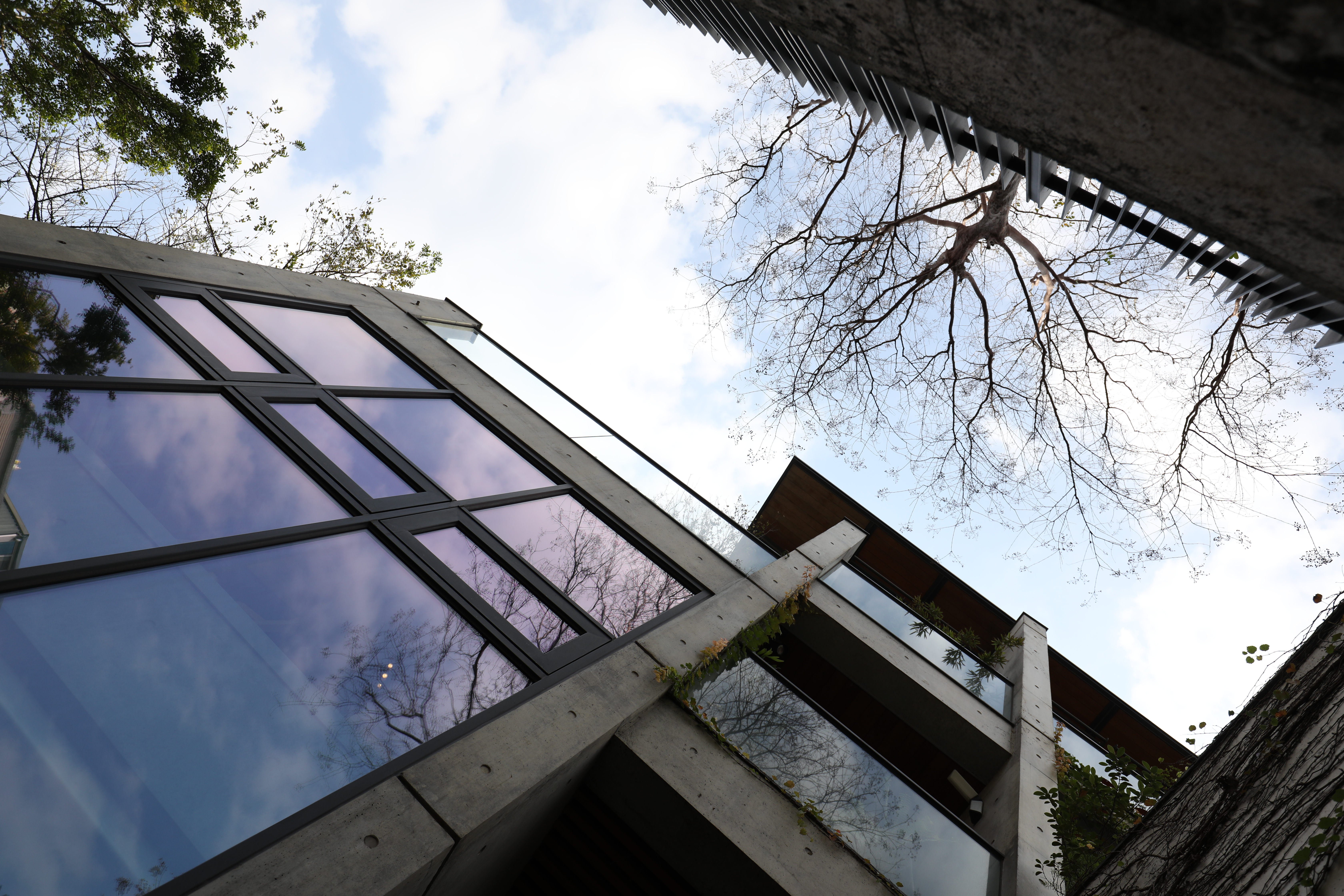 「襲園美術館」的建築設計採山影隨形，抬頭仰天，有如走進山谷。