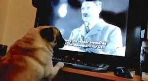 Count Dankula 讓女友愛犬觀看納粹紀錄片,並教他聽到特定句子時要舉起右前腳,模仿納粹軍禮。