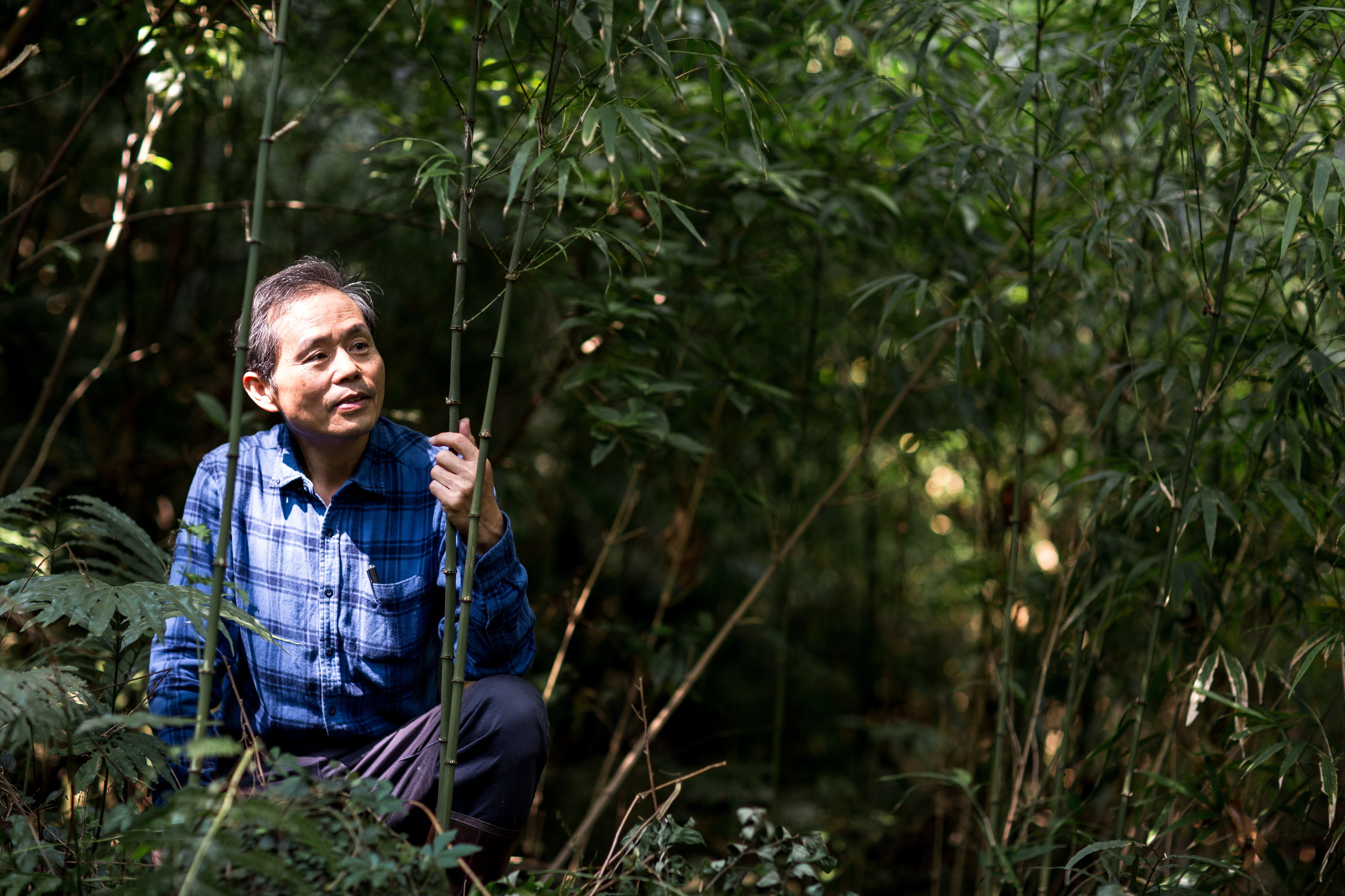 陳耀文不只愛玩毛,也種方竹、人面竹等來做筆桿。
