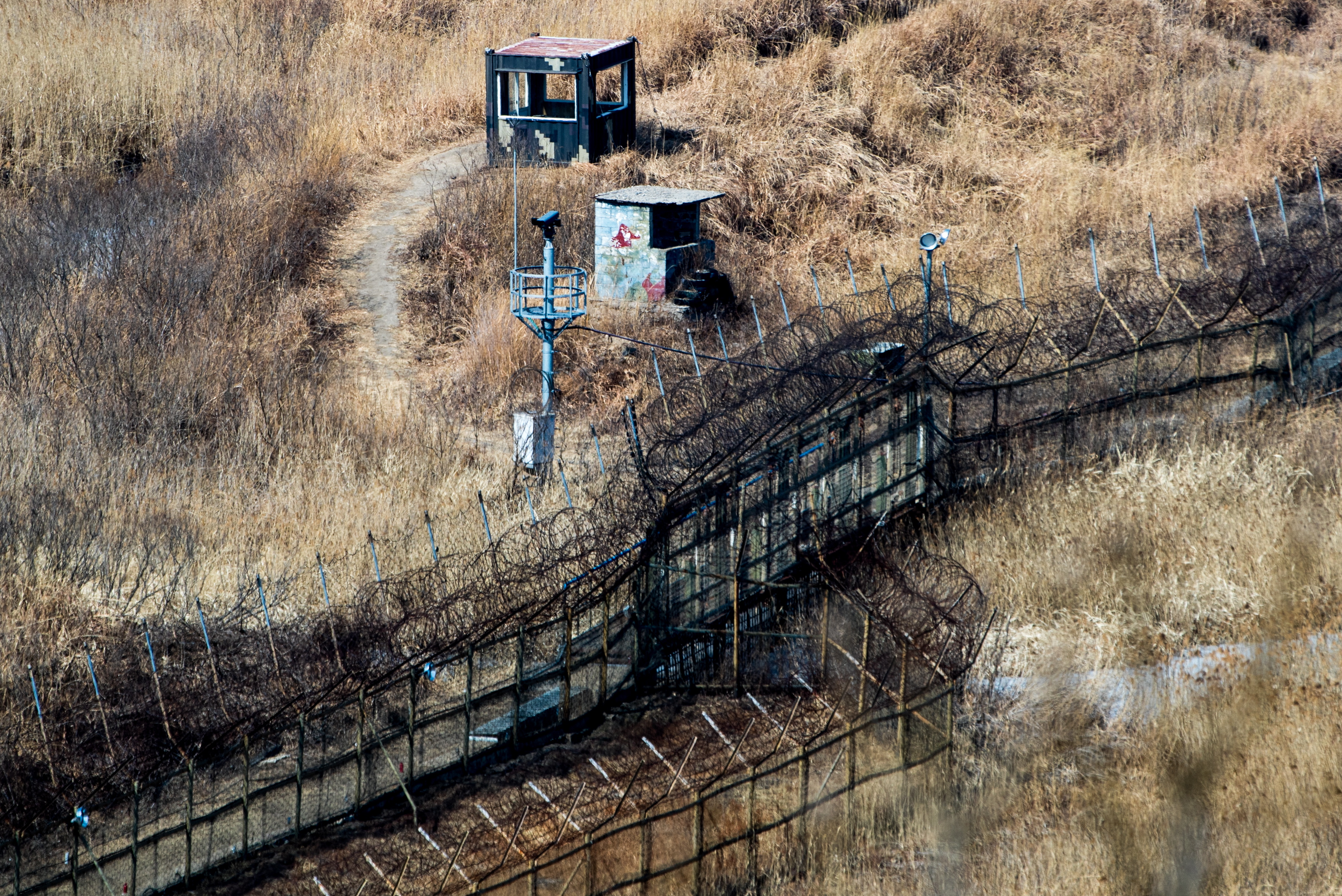 韓非軍事區少有人煙，因而保存了豐富的生物多樣性。（東方IC）