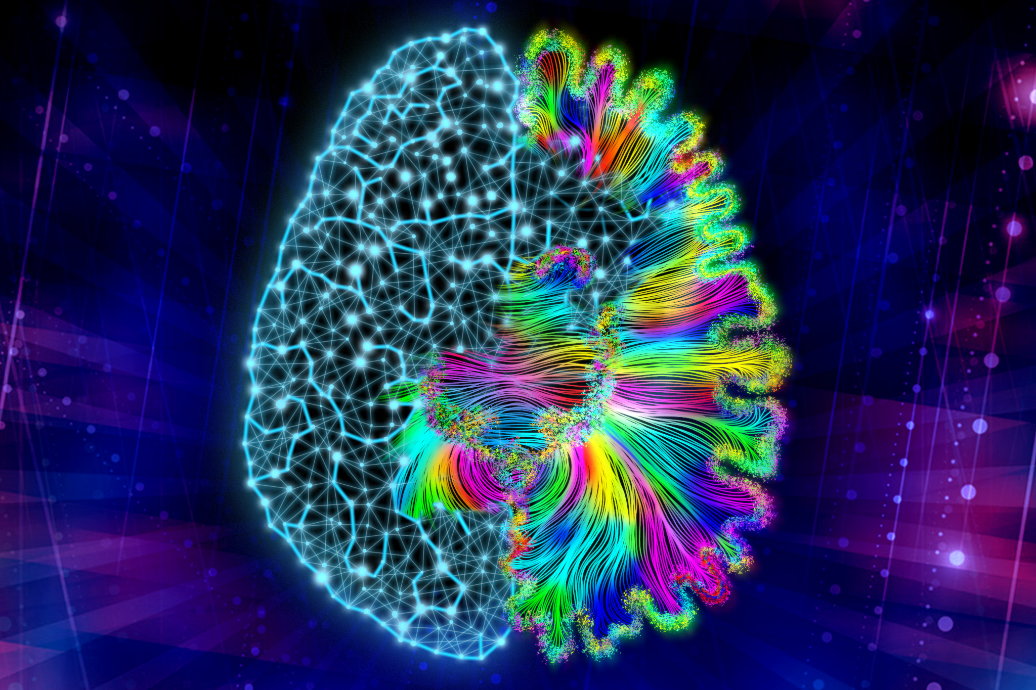 【王道還科普專欄】為想像留餘地