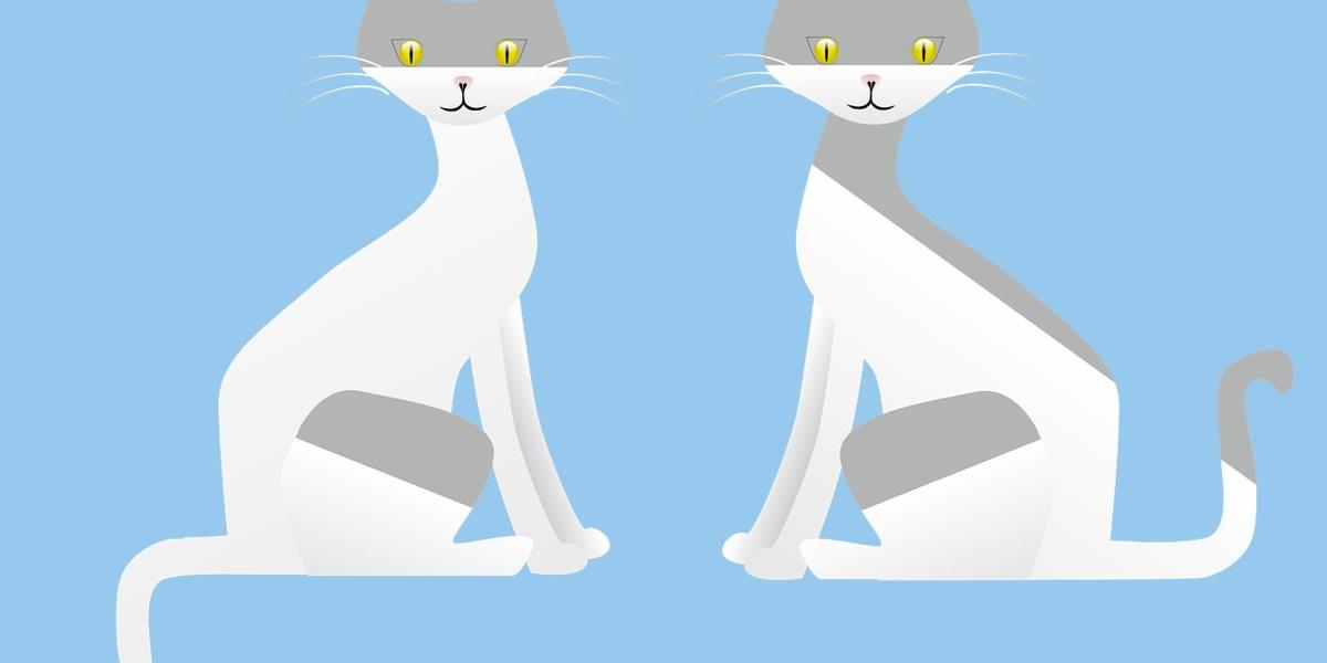 美國複製寵物產業揭祕：費用高達新台幣150萬　