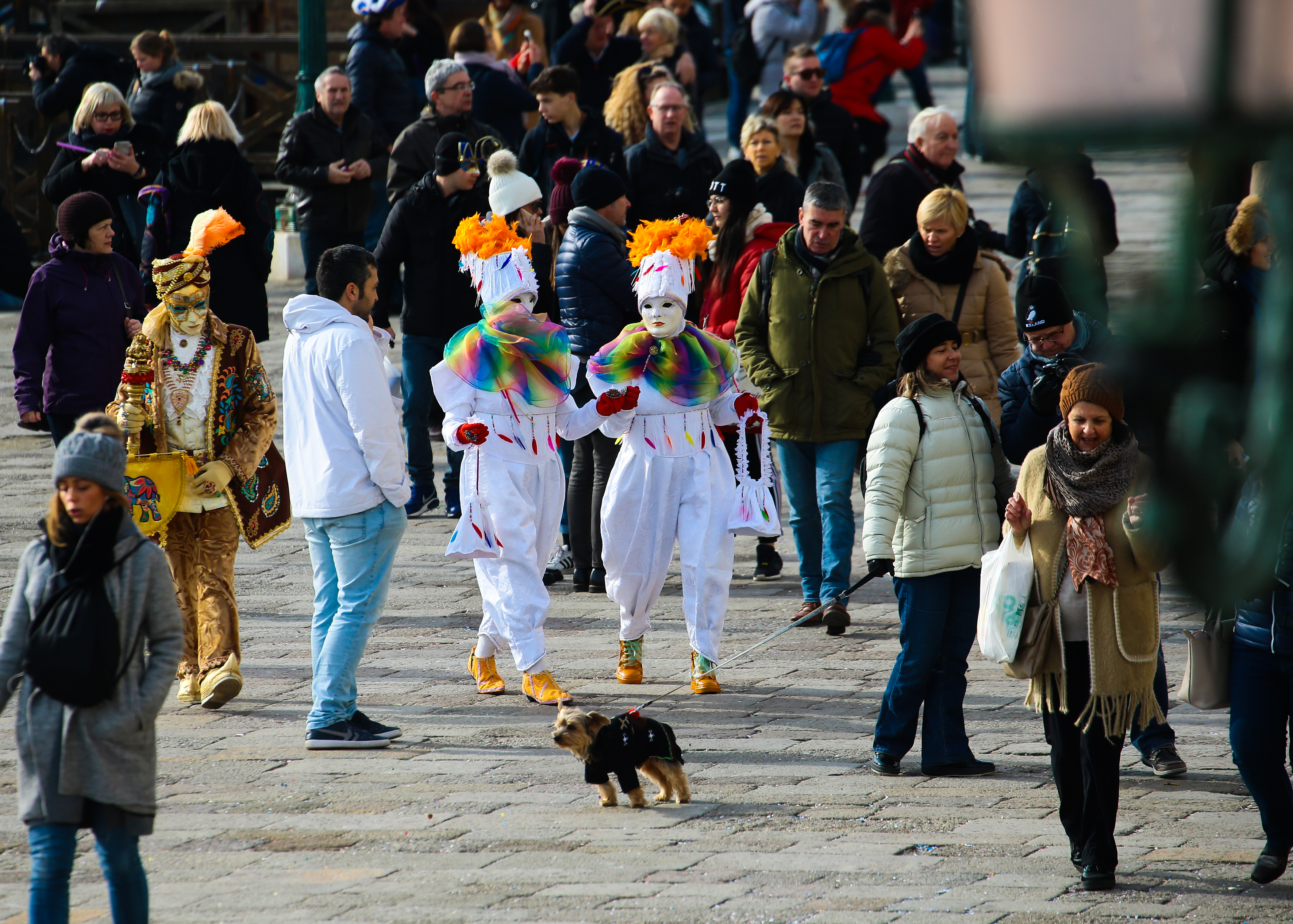  每逢節慶，水多威尼斯幾乎都被大批觀光客占領。（東方IC）