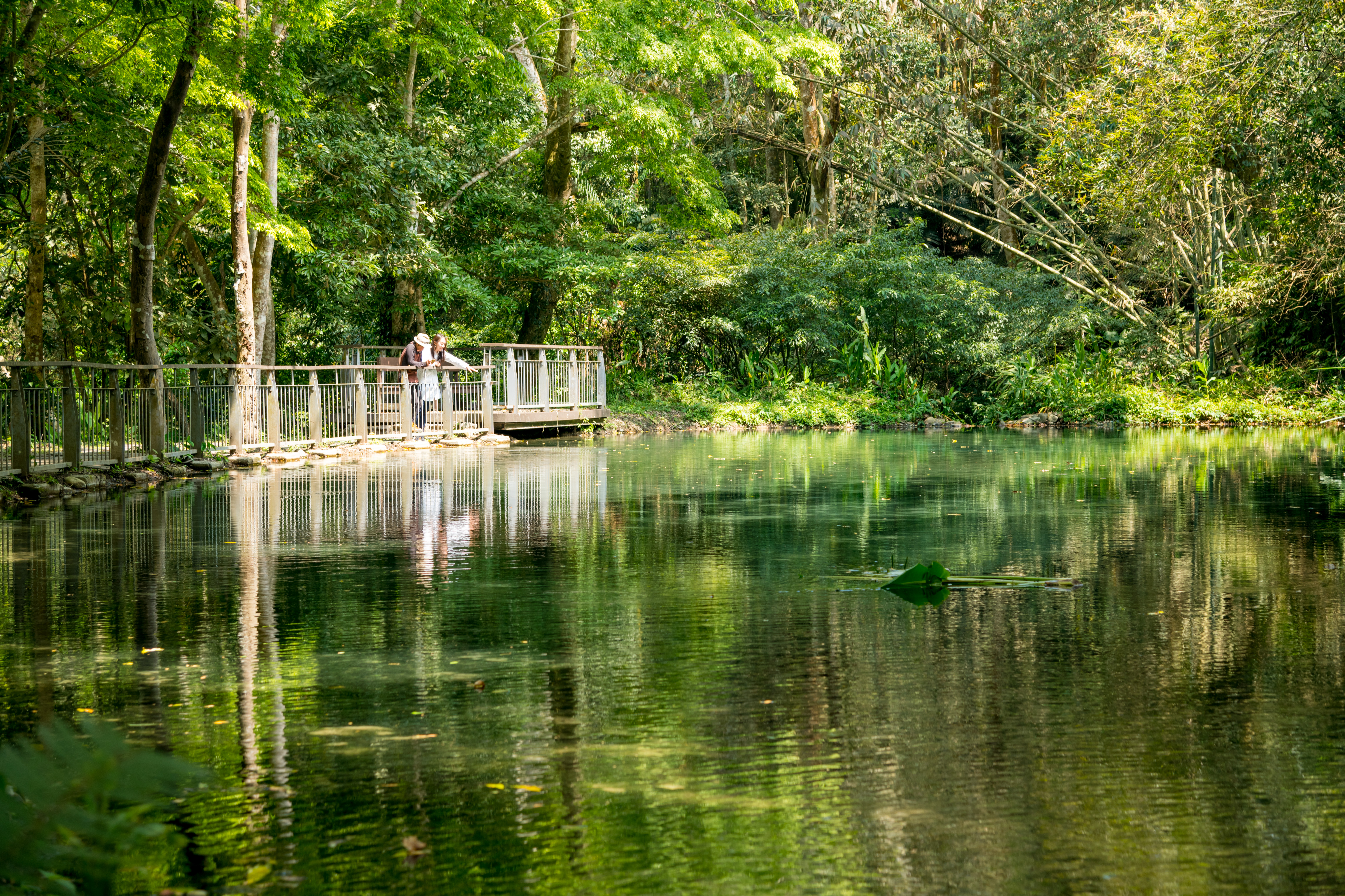 「四十二分湧泉自然生態步道」有種靜態美。