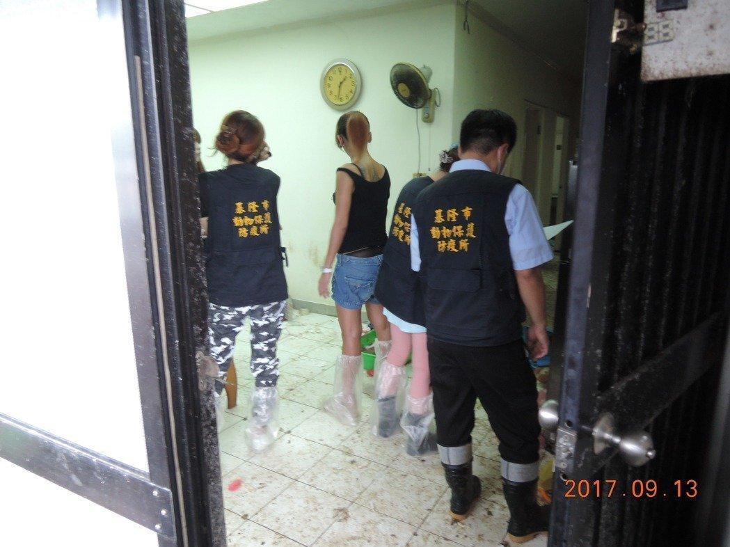 陳女租屋處髒亂不堪,遍布貓屎,還有貓屍長出的蛆蟲。(翻攝畫面)