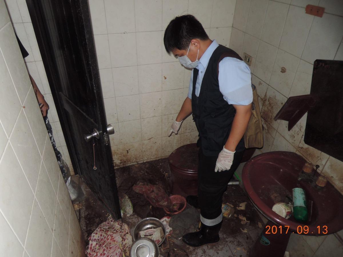 陳女疏於照顧,造成14隻貓遭活活餓死。(翻攝畫面)
