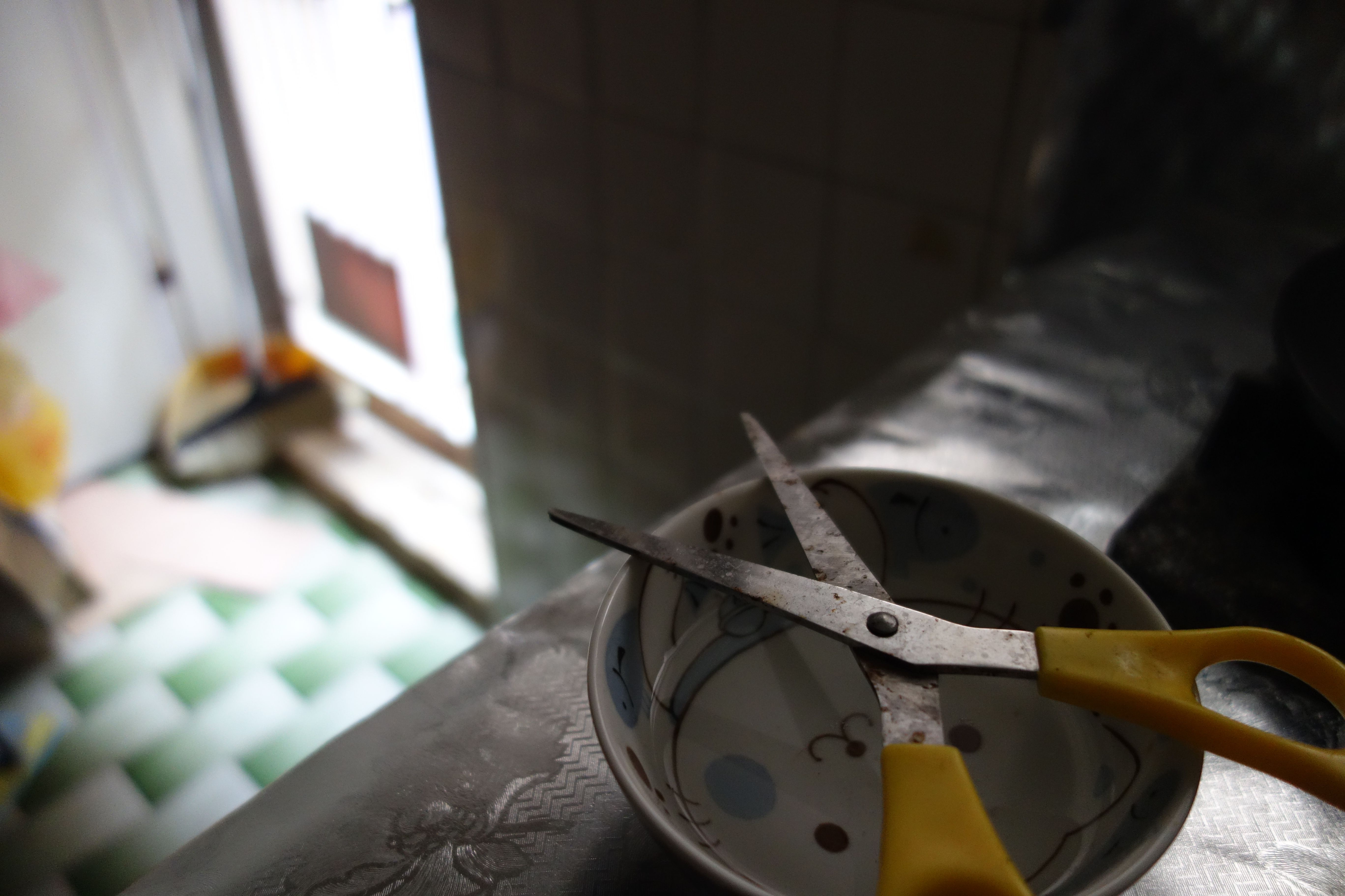 侯季然執導的《剪刀找貓》片名是來自網路傳說尋找失蹤貓咪的方法。（公視提供）