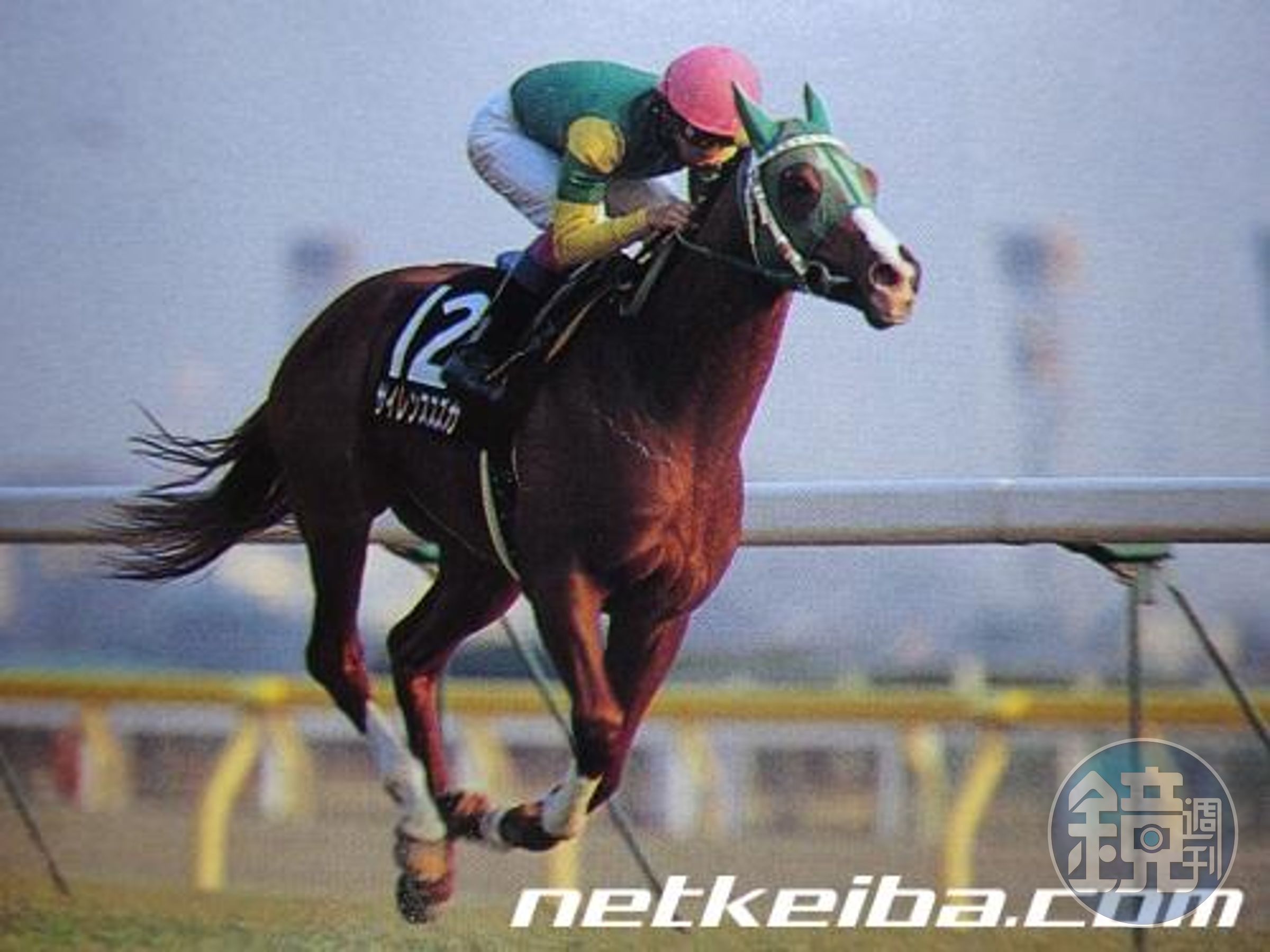 Silence Suzuka 在 1998 年情人節S（OP）出賽的身影。（netkeiba.com）