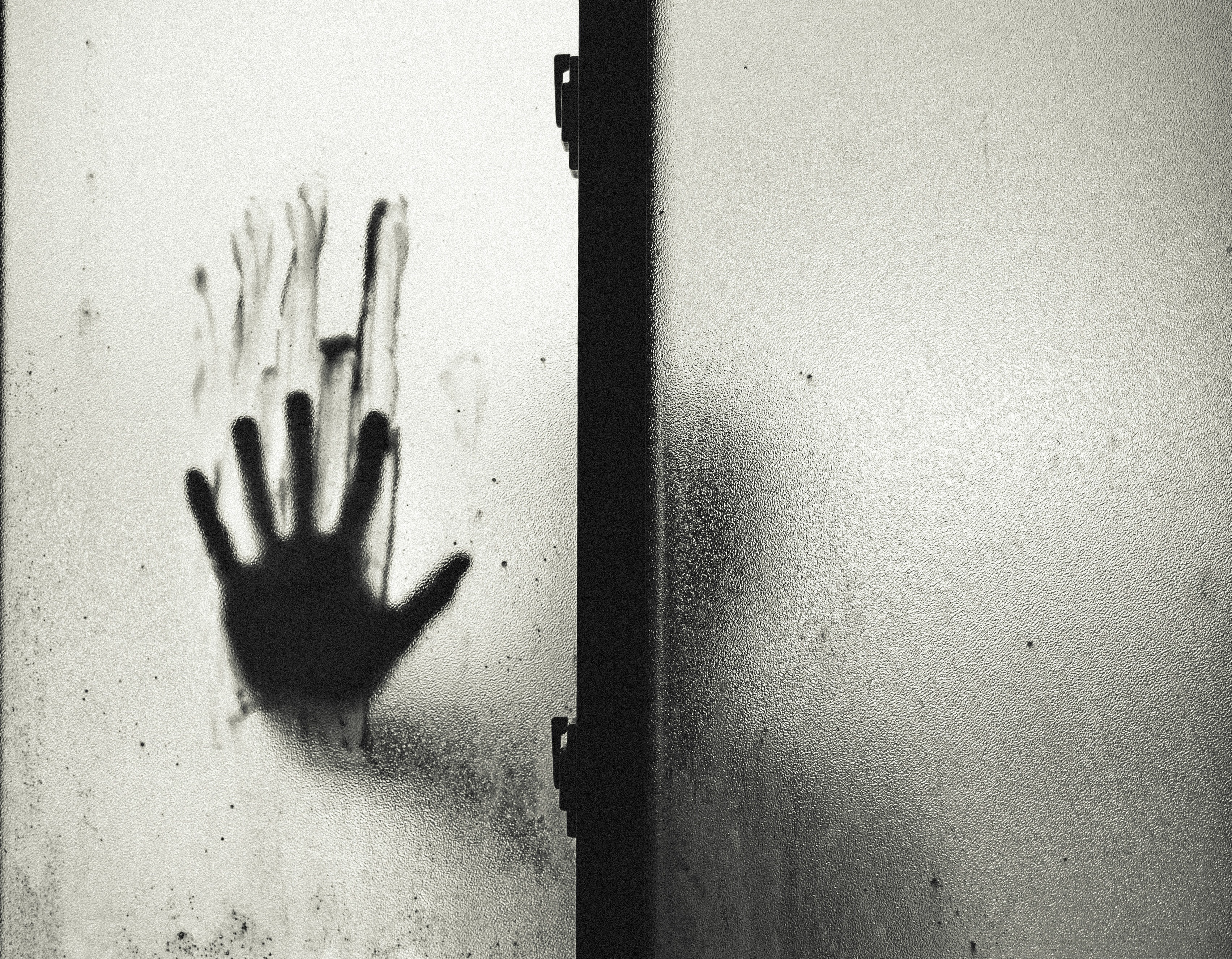 （圖片取自pexels.com）