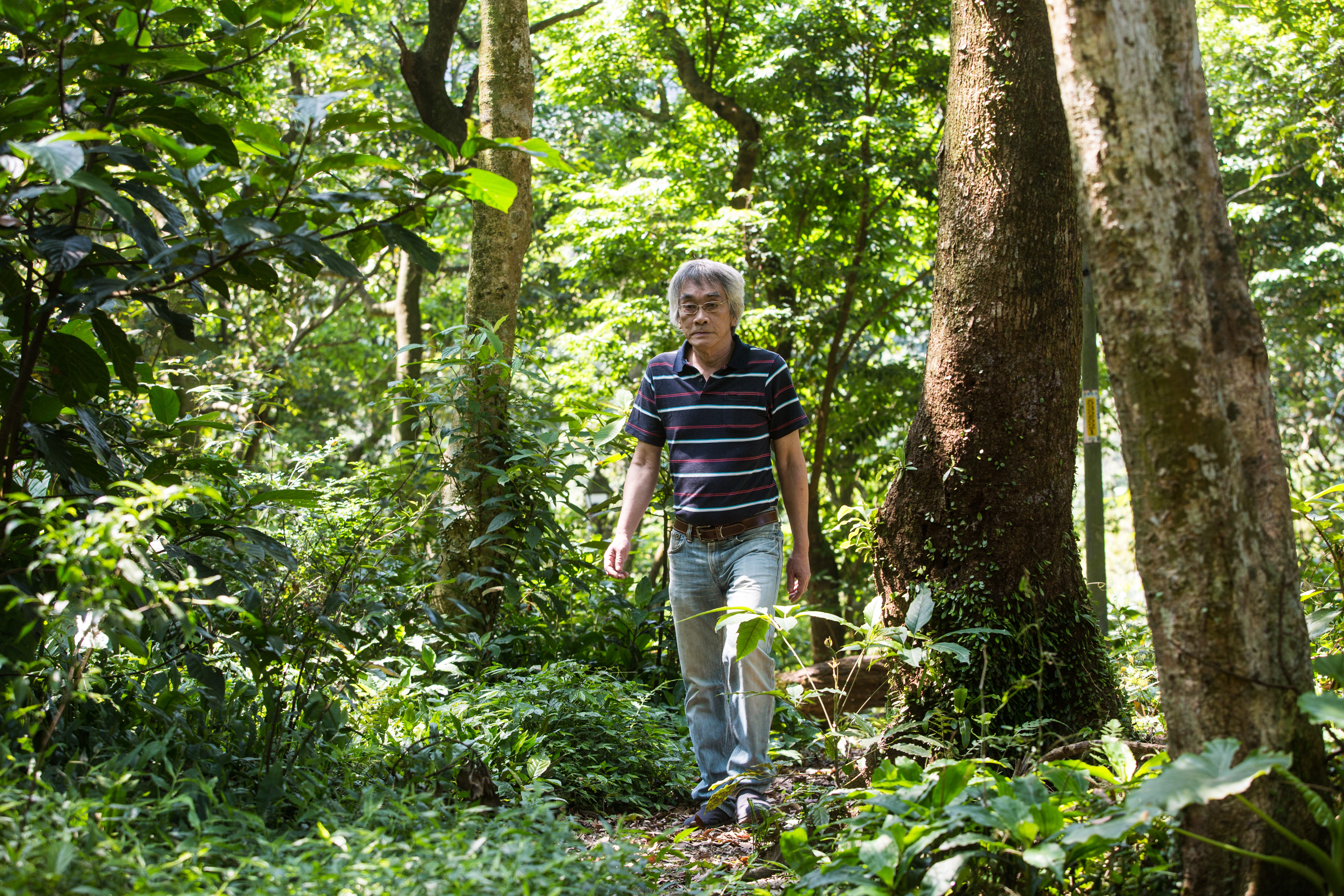 郭箏出生的年代還沒有電視,年輕時晚上的娛樂就是看臥龍生、諸葛清雲的武俠連載。在當年,金庸小說是禁書,解嚴後才開禁。