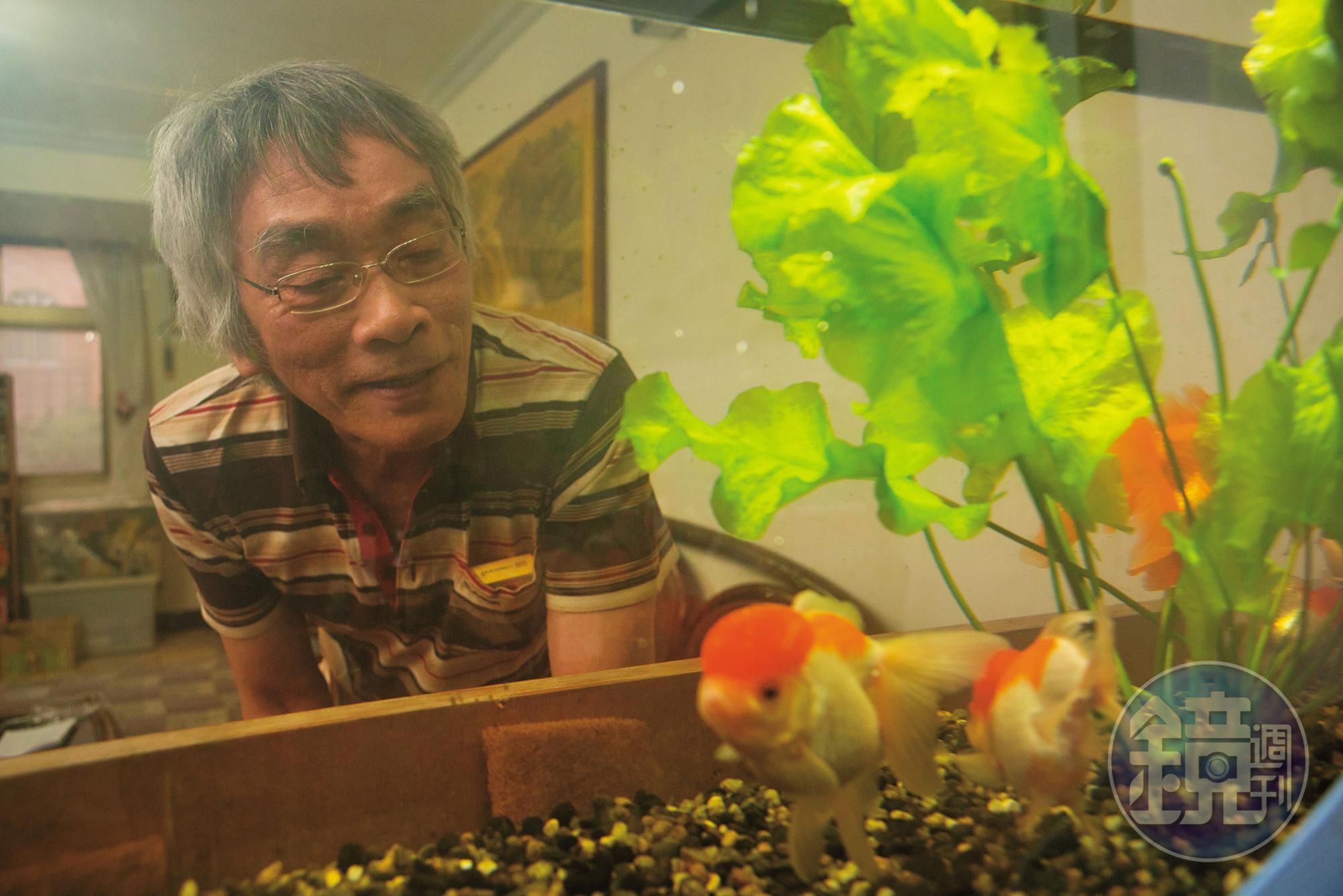 郭箏喜歡安靜，養貓也養魚。他說在印刷廠工作時，晚上上班，白天寫武俠小說連載，壓力讓他心慌睡不著，那時就到水族館看魚，回家才能夠睡著。