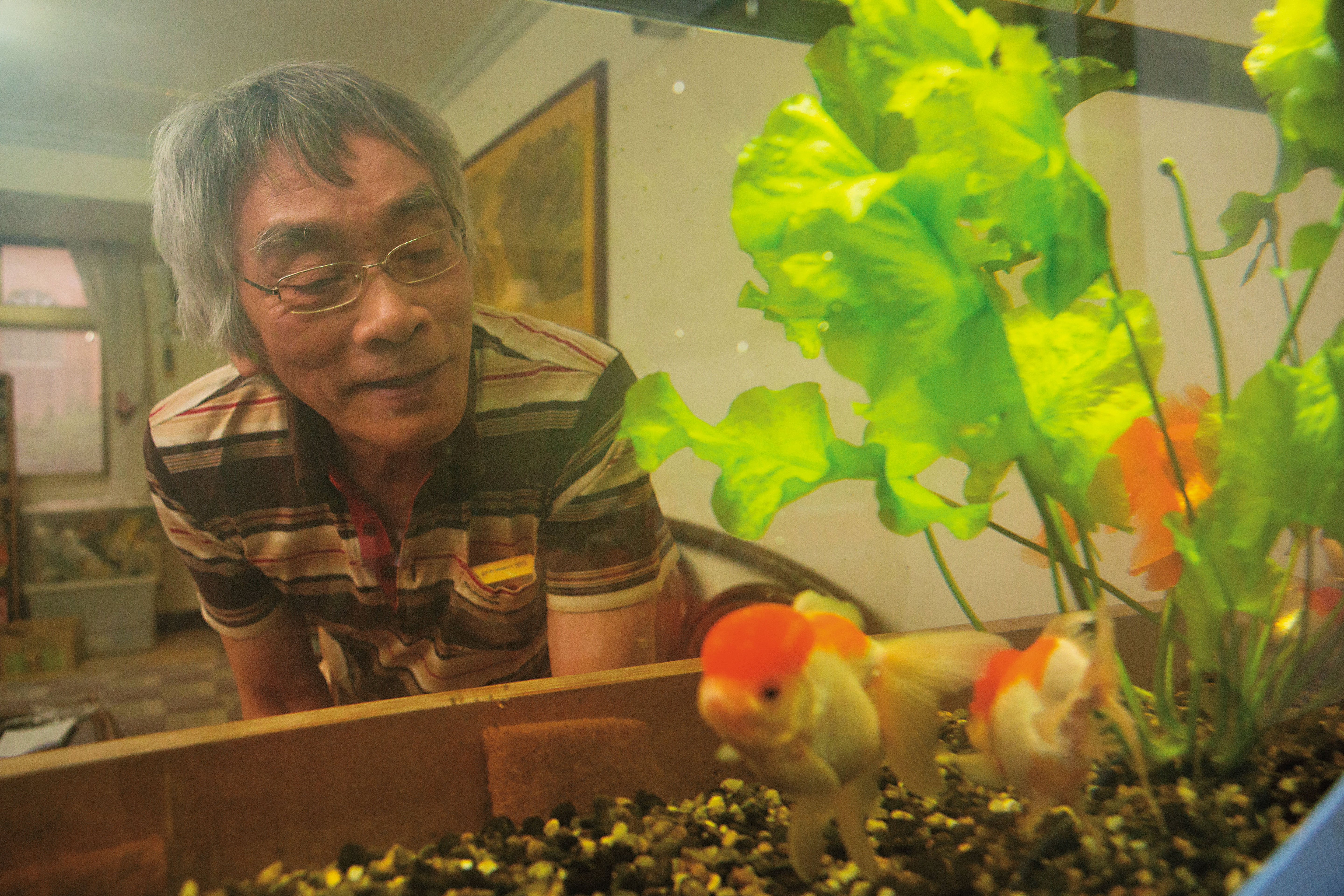 郭箏喜歡安靜，養貓也養魚。他說在印刷廠工作時，晚上上班，白天寫武俠小說連載，壓力讓他心慌睡不著，那時就到水族館看魚，回家才能夠睡著。