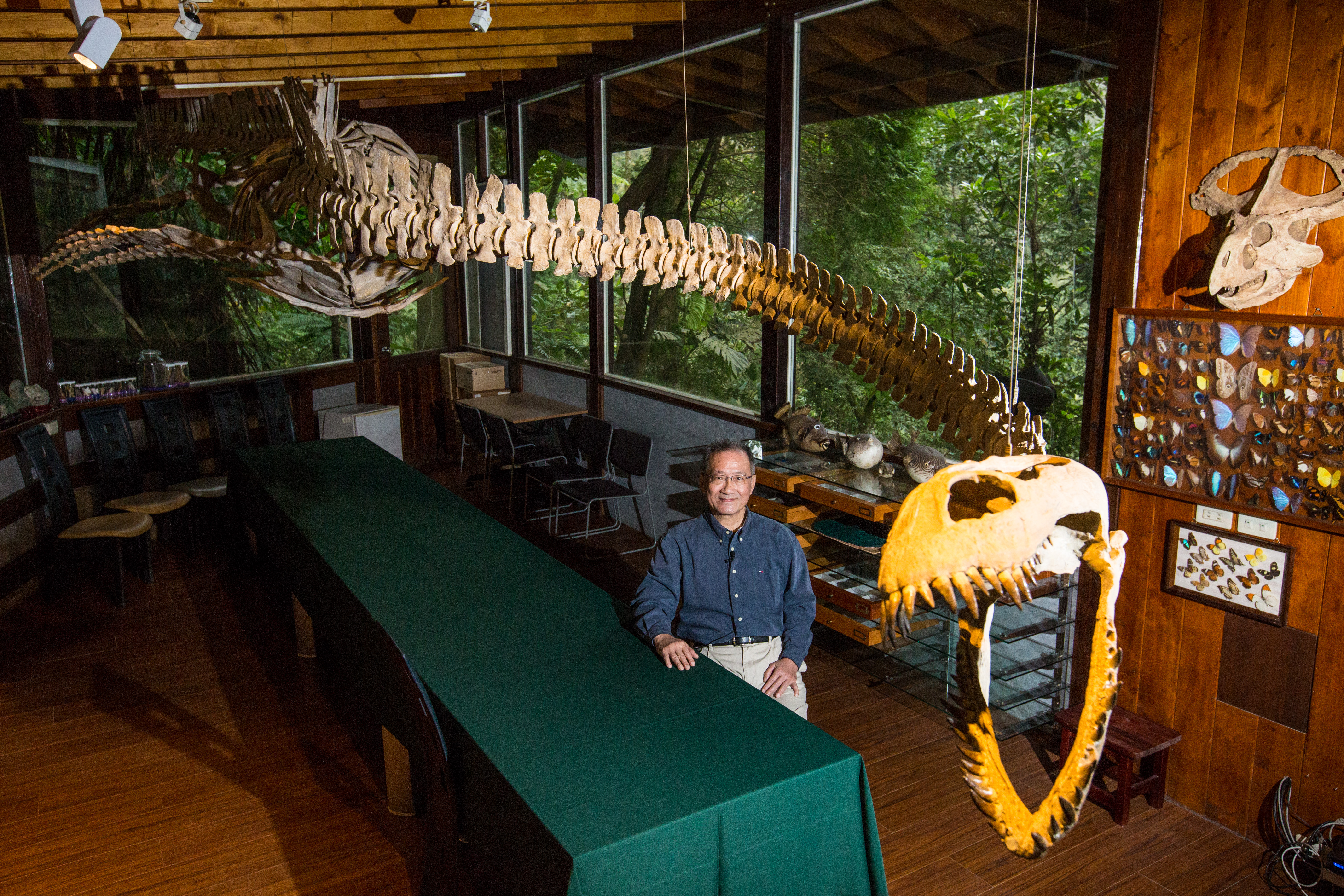 數十年來，李家維收藏了成千上百的動植物標本、史前化石、出土陶瓷器，身在其中，簡直像是來到了博物館。