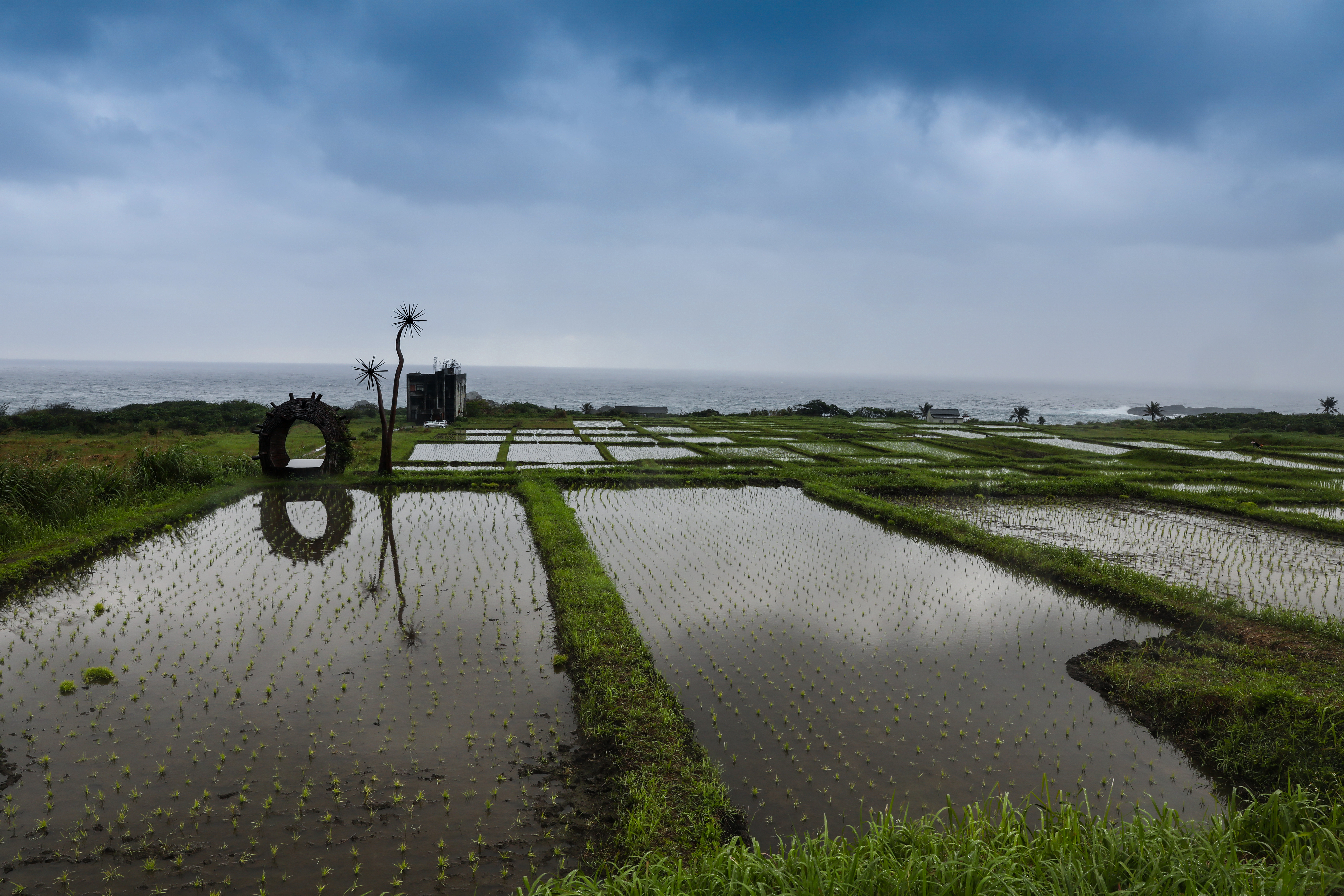 花蓮豐濱鄉的港口部落，有少見的海稻米水梯田，這是阿美族人傳統的飲食地景。