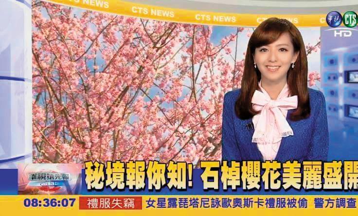  房業涵被稱美女主播，因晚間新聞當家主播蘇逸洪突然離職，臨時上陣hold住晚間黃金時段。