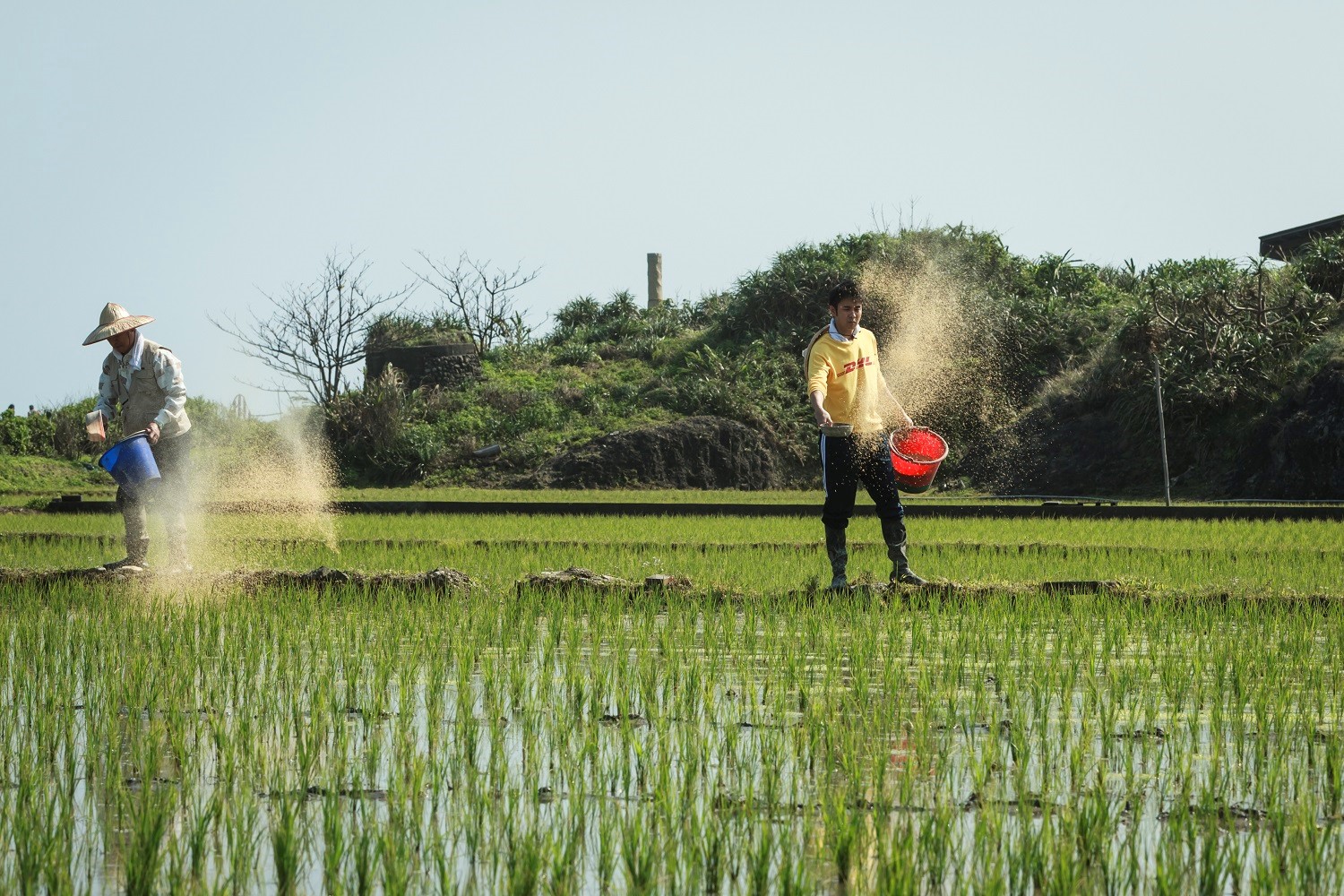 目前在花蓮拍攝中的《種菜女神》，是歐銻銻娛樂透過「袋鼠計畫」找到的作品。（歐銻銻娛樂提供）