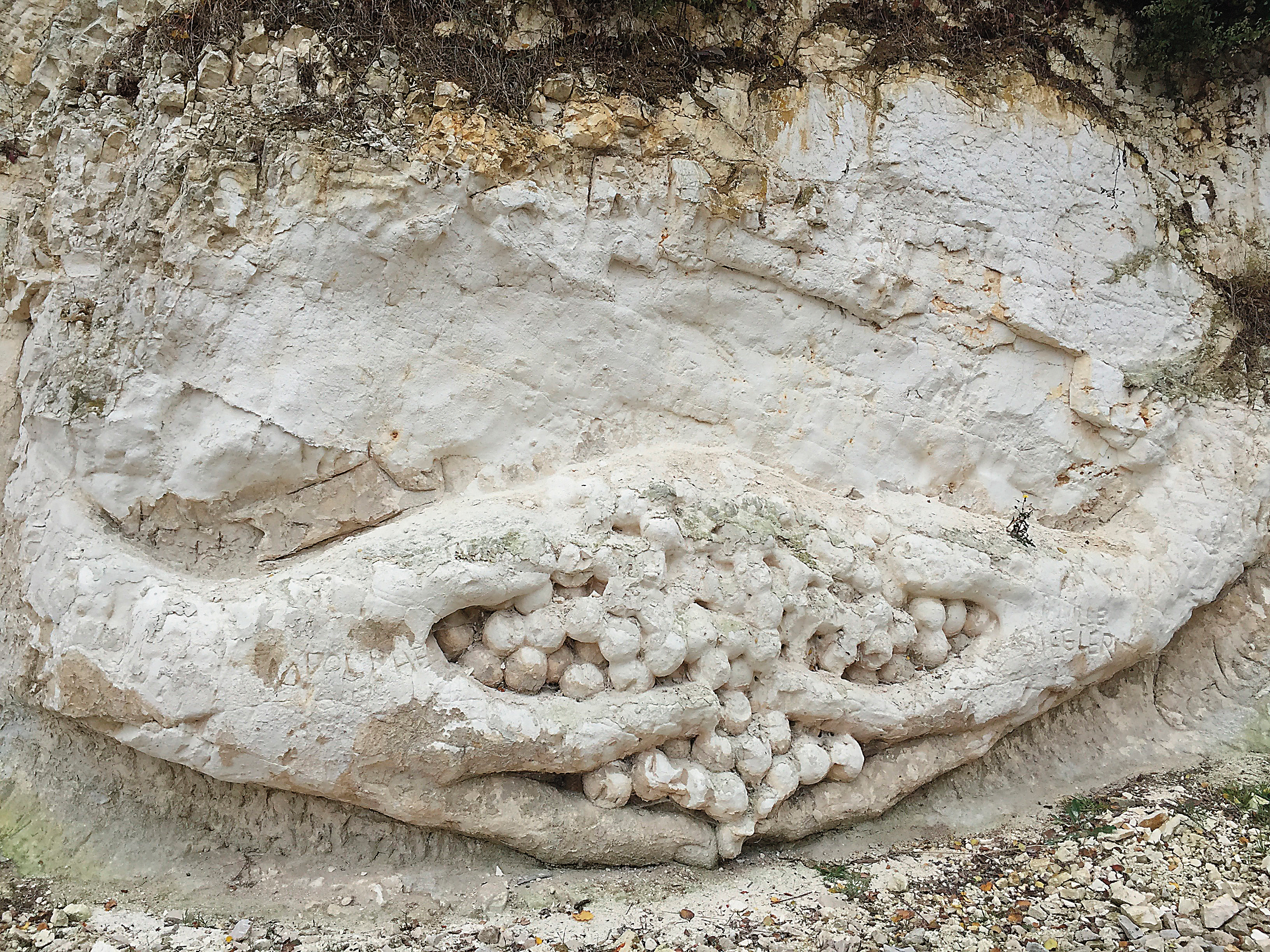 香檳區土壤為白堊土，吸水量高，乾燥時脆、潮濕時黏，產區還刻意把白堊土雕刻成雙手捧著葡萄的圖案。