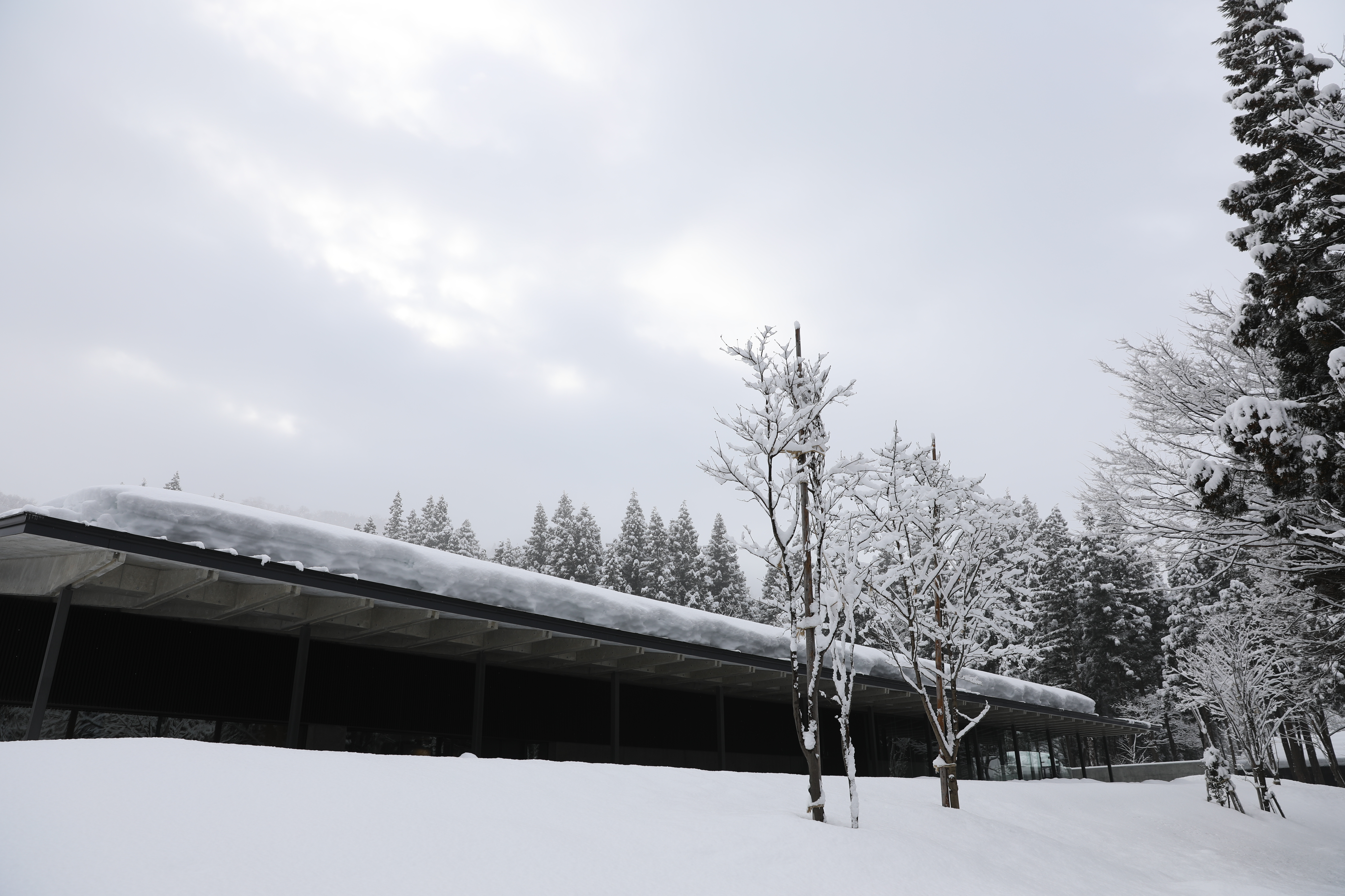 八海山利用魚沼地區的冬季豪雪，蓋了完全不需空調的雪室建築。
